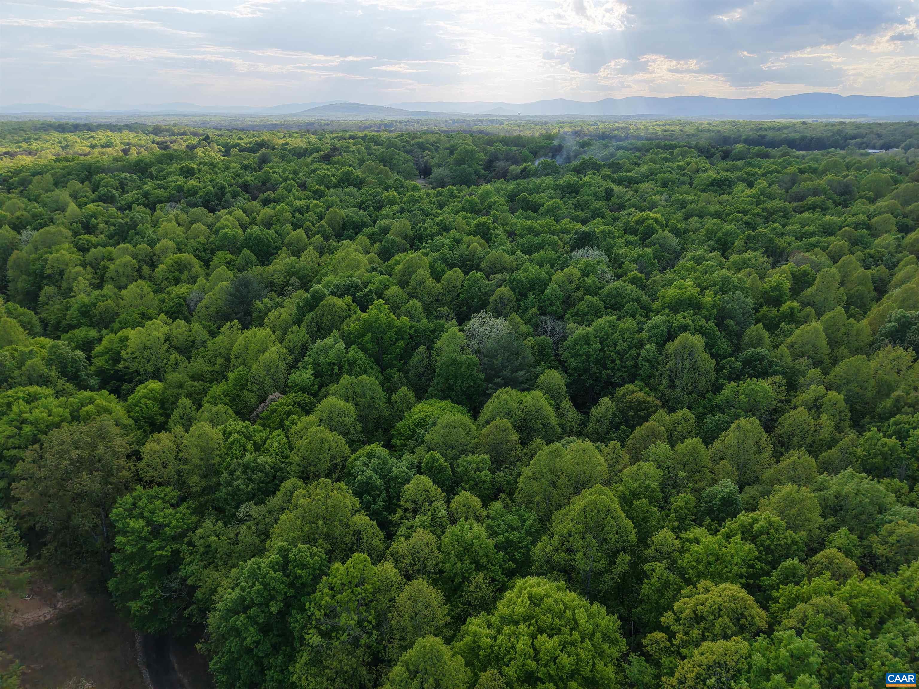 3220 SPOTSWOOD TRL, BARBOURSVILLE, Virginia 22923, ,Land,3220 SPOTSWOOD TRL,676325 MLS # 676325