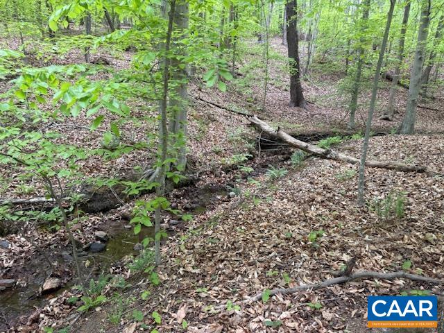 3220 SPOTSWOOD TRL, BARBOURSVILLE, Virginia 22923, ,Land,3220 SPOTSWOOD TRL,676325 MLS # 676325