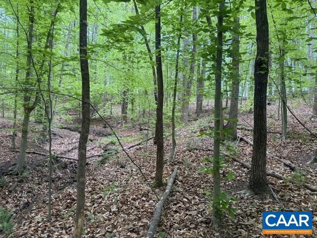 3220 SPOTSWOOD TRL, BARBOURSVILLE, Virginia 22923, ,Land,3220 SPOTSWOOD TRL,676325 MLS # 676325