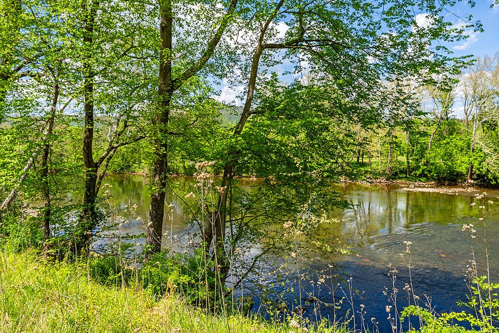 4439 OLD FORGE RD, LURAY, Virginia 22835, 4 Bedrooms Bedrooms, ,2 BathroomsBathrooms,Residential,4439 OLD FORGE RD,VAPA2006342 MLS # VAPA2006342