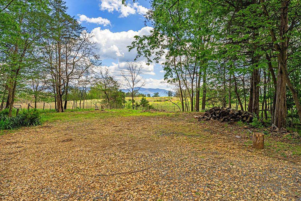 4439 OLD FORGE RD, LURAY, Virginia 22835, 4 Bedrooms Bedrooms, ,2 BathroomsBathrooms,Residential,4439 OLD FORGE RD,VAPA2006342 MLS # VAPA2006342