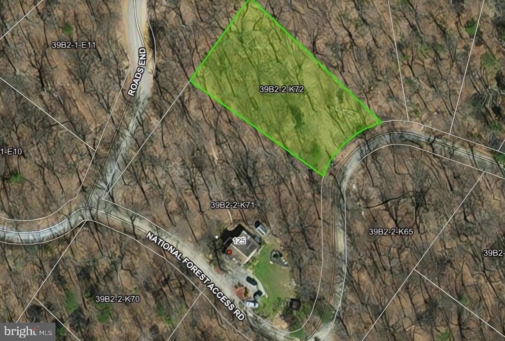 0 NATIONAL FOREST ACCESS RD, LURAY, Virginia 22835, ,Land,0 NATIONAL FOREST ACCESS RD,VAPA2006344 MLS # VAPA2006344