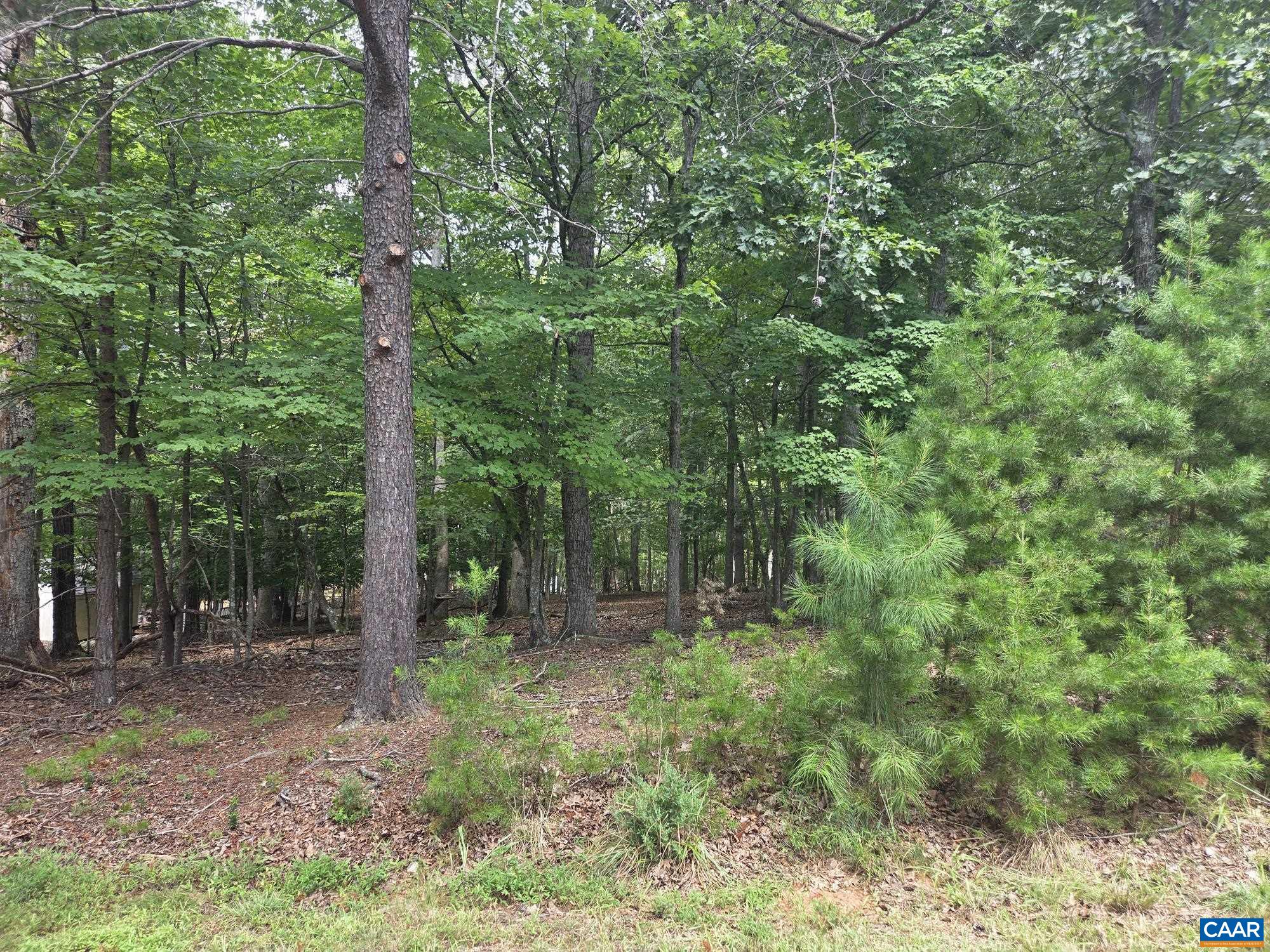 85 LAGUNA RD, PALMYRA, Virginia 22963, ,Land,85 LAGUNA RD,676341 MLS # 676341