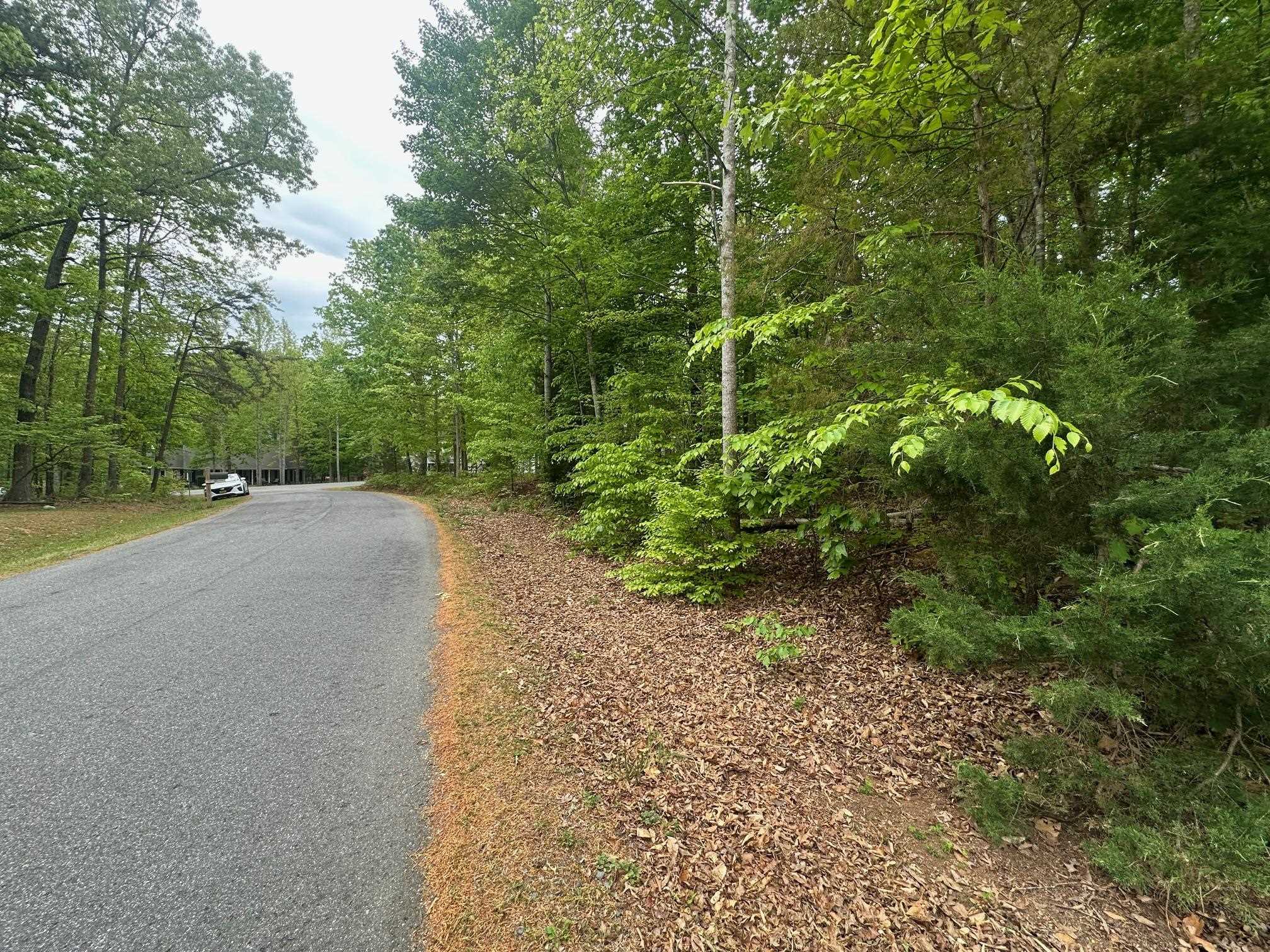 4 EAST POINT RD, PALMYRA, Virginia 22963, ,Land,level, wooded lot in Riverside-6, water and sewer ,4 EAST POINT RD,676351 MLS # 676351