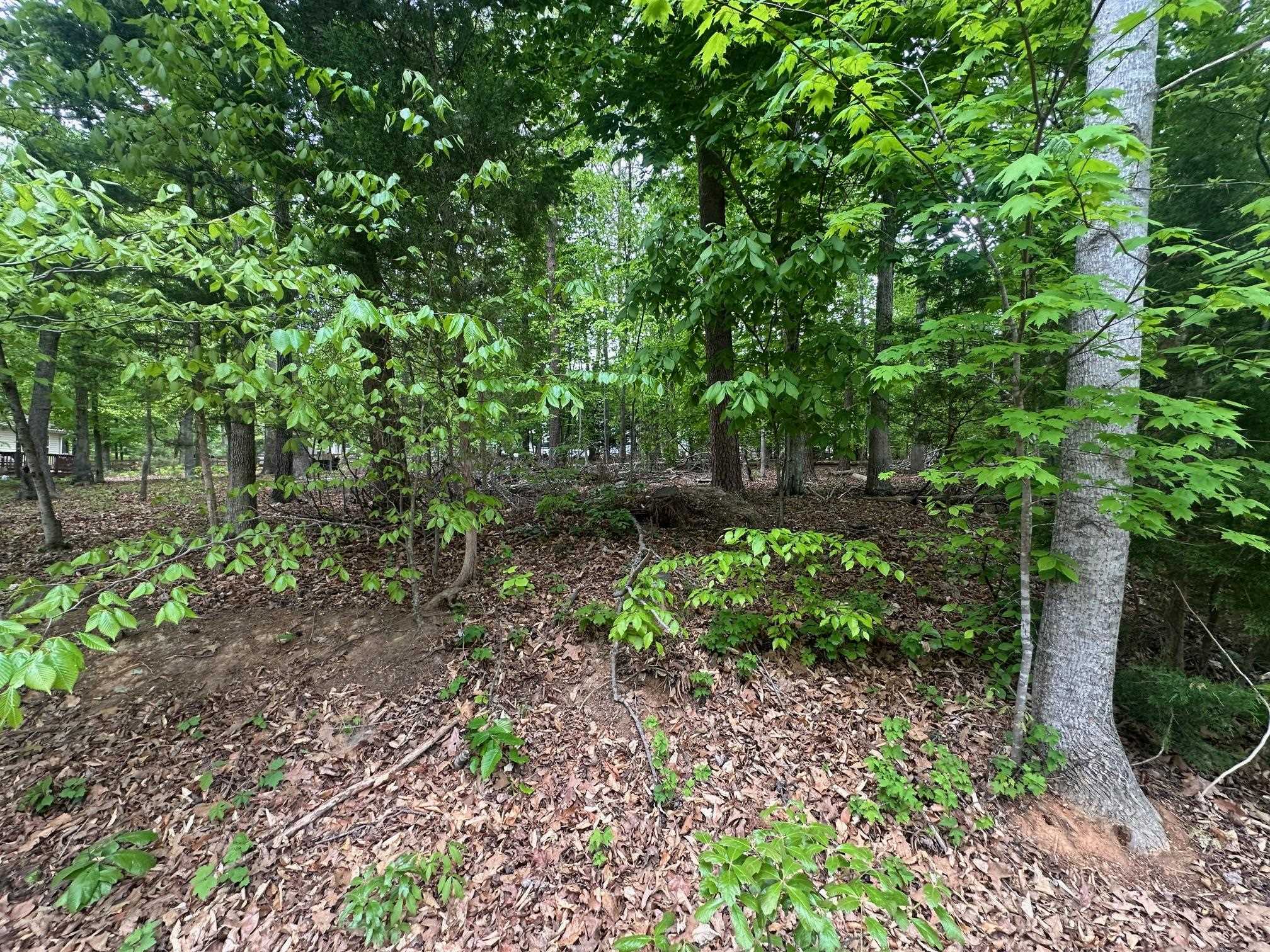 4 EAST POINT RD, PALMYRA, Virginia 22963, ,Land,level, wooded lot in Riverside-6, water and sewer ,4 EAST POINT RD,676351 MLS # 676351