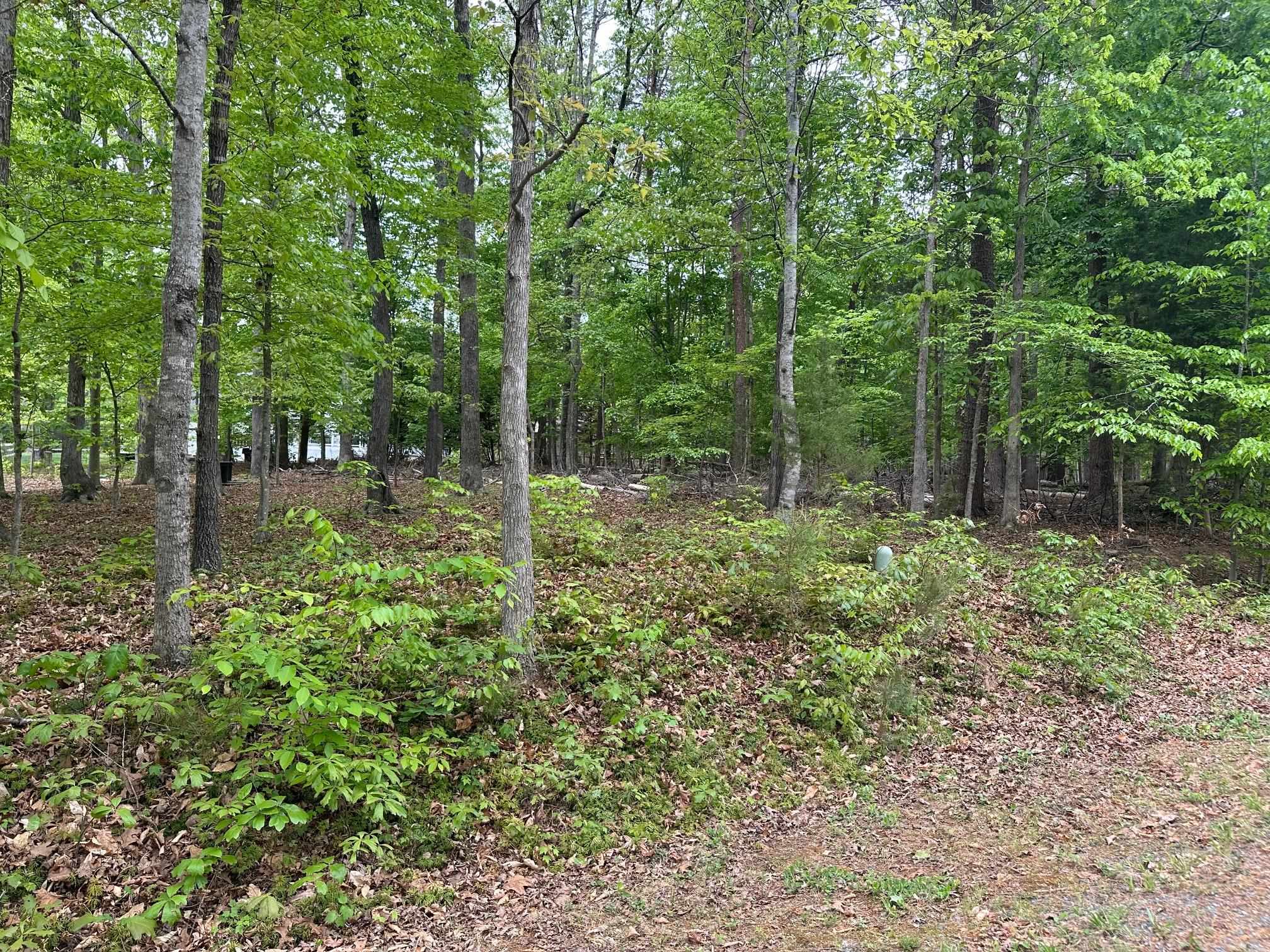 4 EAST POINT RD, PALMYRA, Virginia 22963, ,Land,level, wooded lot in Riverside-6, water and sewer ,4 EAST POINT RD,676351 MLS # 676351