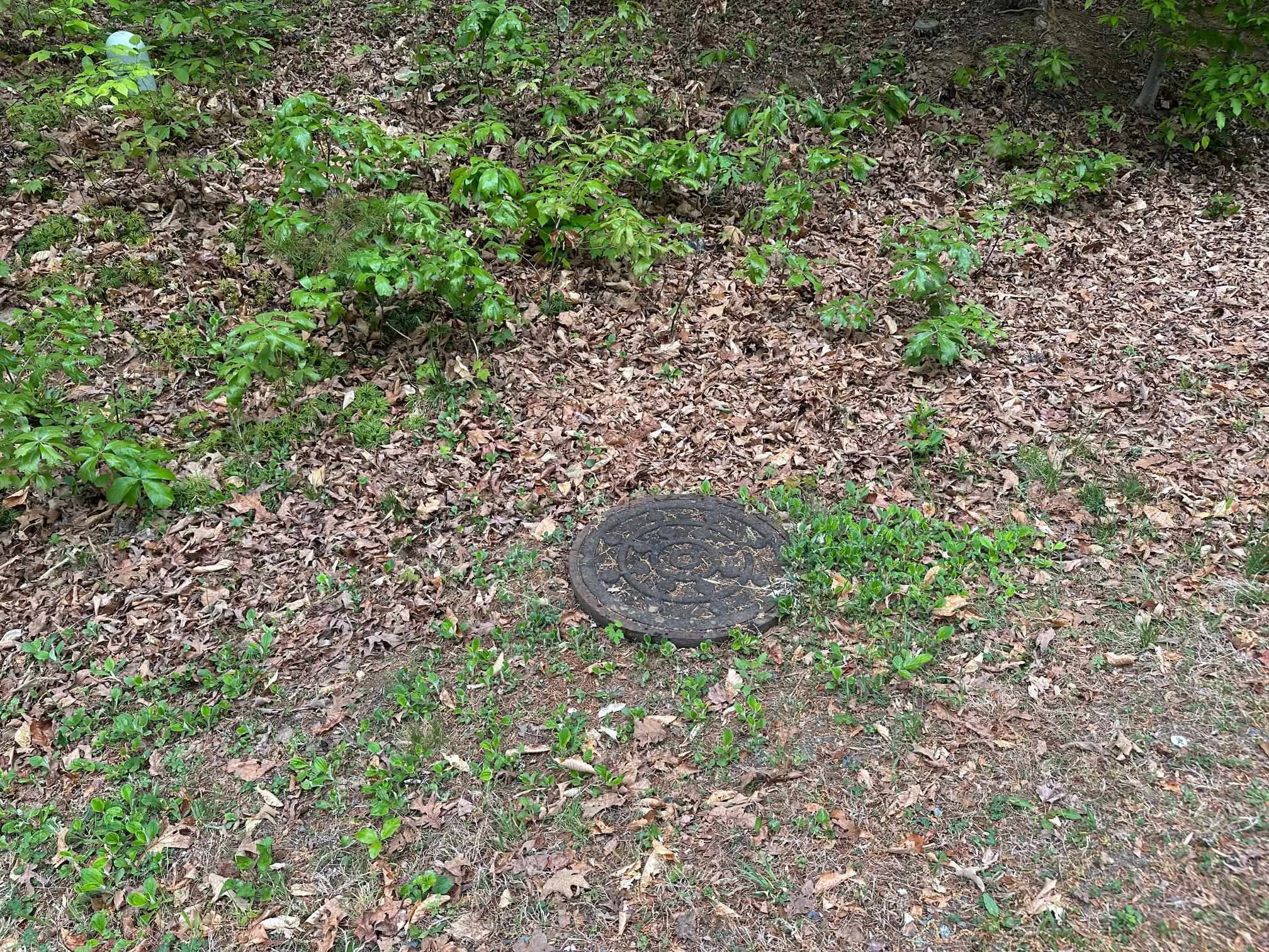 4 EAST POINT RD, PALMYRA, Virginia 22963, ,Land,level, wooded lot in Riverside-6, water and sewer ,4 EAST POINT RD,676351 MLS # 676351