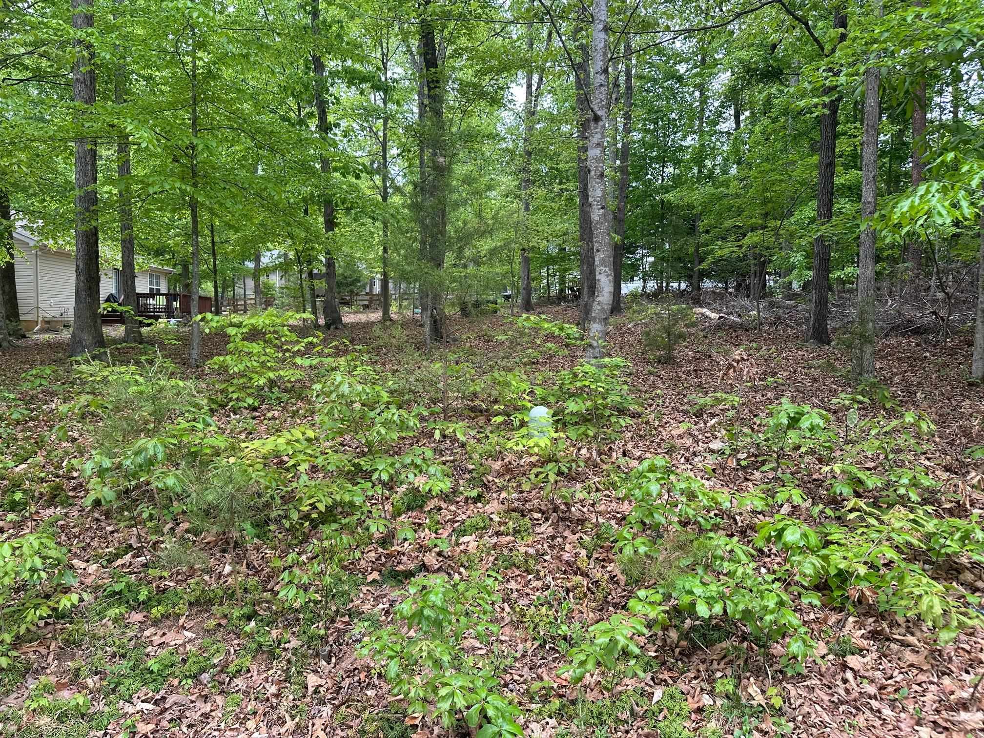 4 EAST POINT RD, PALMYRA, Virginia 22963, ,Land,level, wooded lot in Riverside-6, water and sewer ,4 EAST POINT RD,676351 MLS # 676351