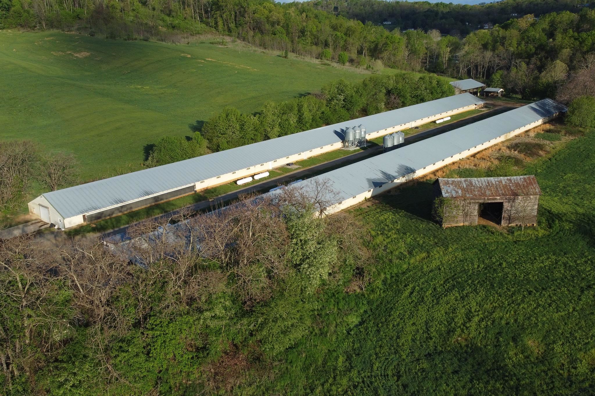 189 OAK RIDGE LN, STAUNTON, Virginia 24401, ,Farm,189 OAK RIDGE LN,676354 MLS # 676354