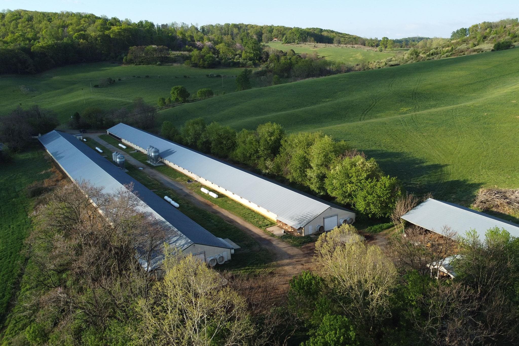 189 OAK RIDGE LN, STAUNTON, Virginia 24401, ,Farm,189 OAK RIDGE LN,676354 MLS # 676354