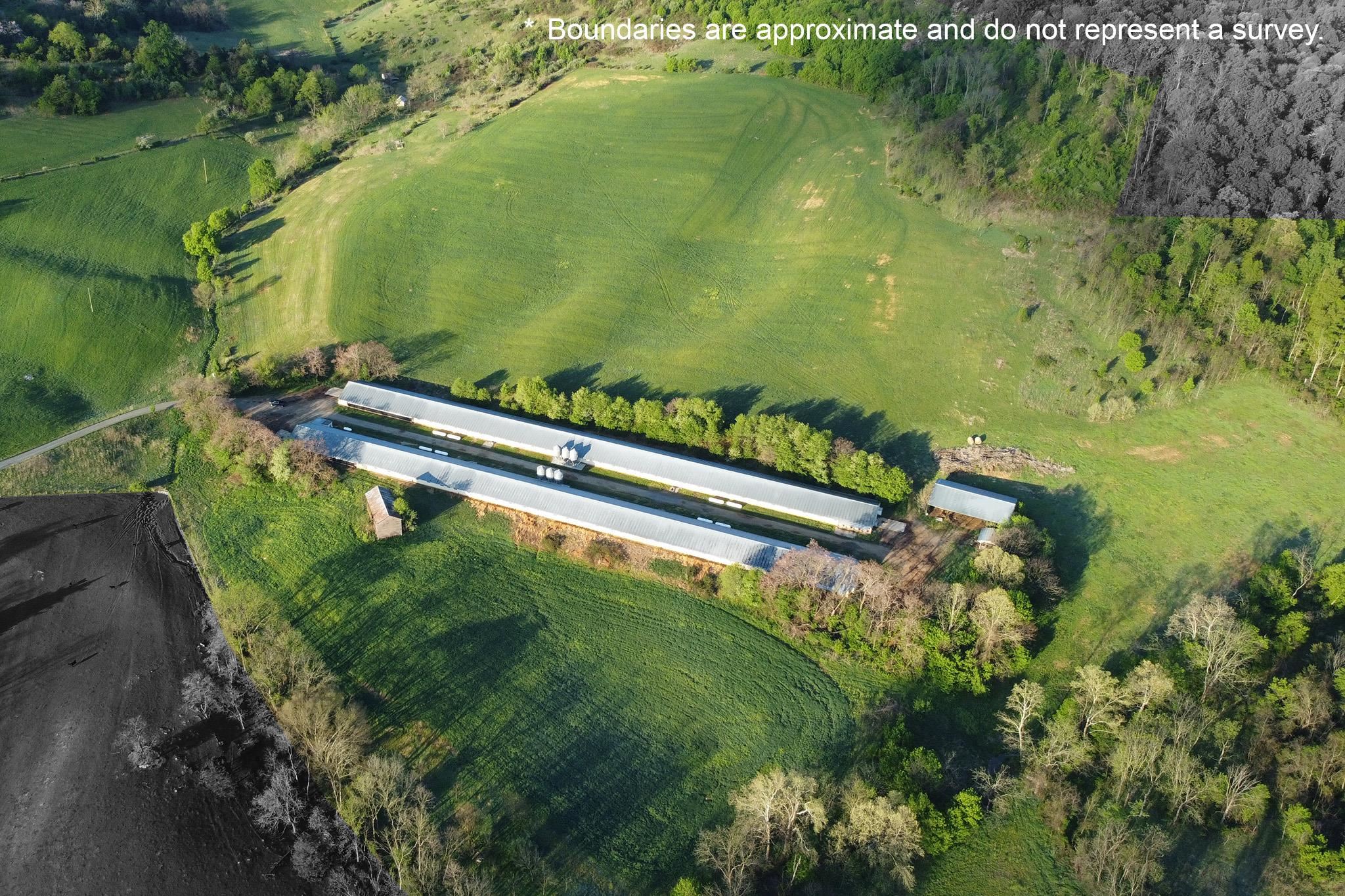 189 OAK RIDGE LN, STAUNTON, Virginia 24401, ,Farm,189 OAK RIDGE LN,676354 MLS # 676354