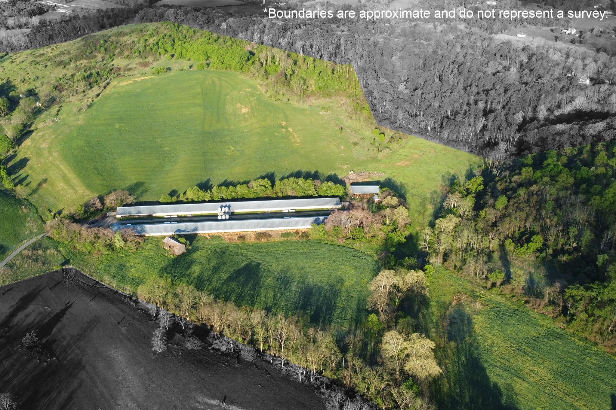 189 OAK RIDGE LN, STAUNTON, Virginia 24401, ,Farm,189 OAK RIDGE LN,676354 MLS # 676354