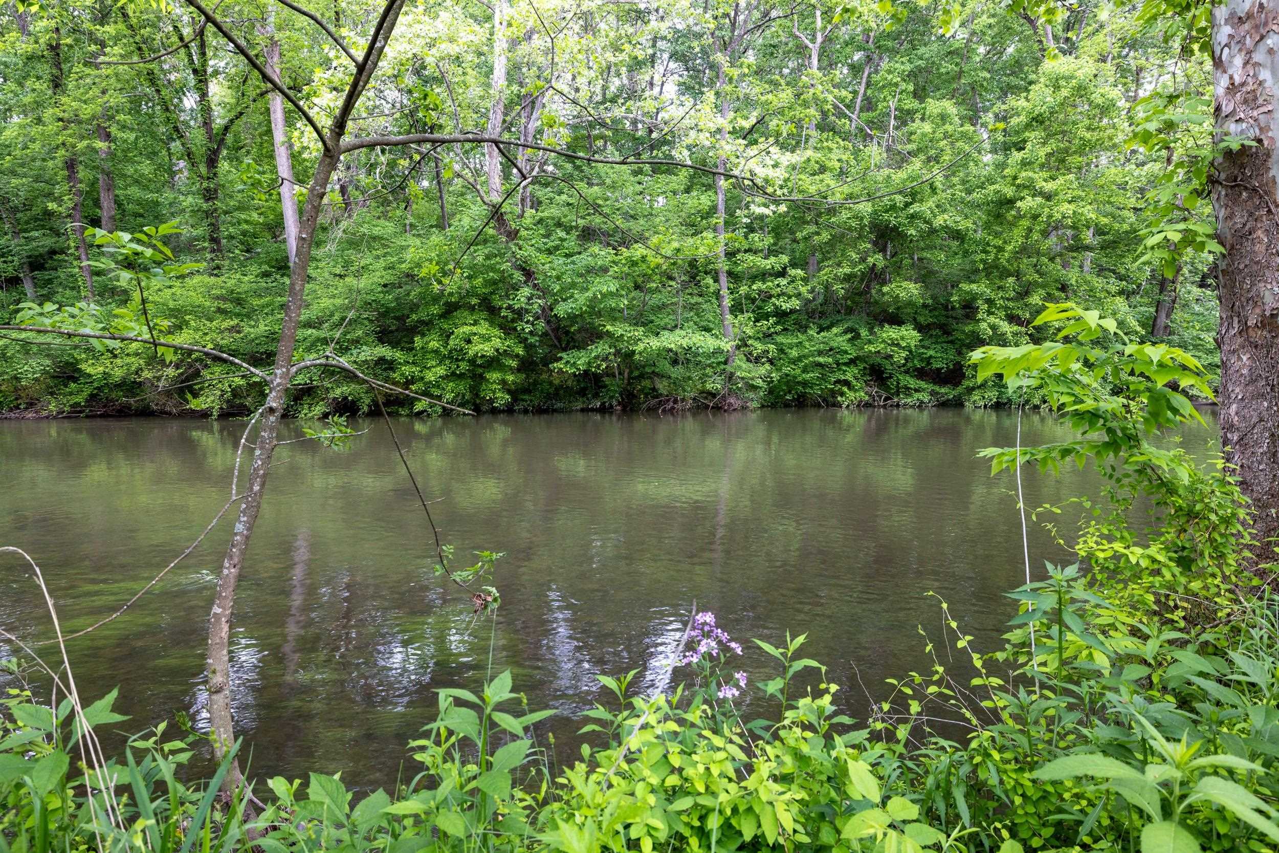 0 STONEY CREEK RD, EDINBURG, Virginia 22824, ,Land,0 STONEY CREEK RD,676360 MLS # 676360