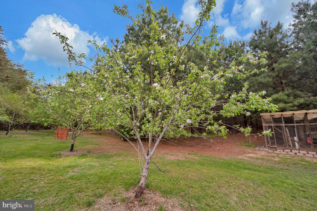 11326 WHEELER RD, SPOTSYLVANIA, Virginia 22551, 3 Bedrooms Bedrooms, ,2 BathroomsBathrooms,Residential,11326 WHEELER RD,VASP2041058 MLS # VASP2041058