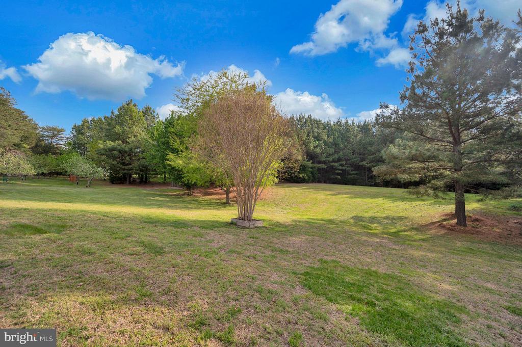 11326 WHEELER RD, SPOTSYLVANIA, Virginia 22551, 3 Bedrooms Bedrooms, ,2 BathroomsBathrooms,Residential,11326 WHEELER RD,VASP2041058 MLS # VASP2041058