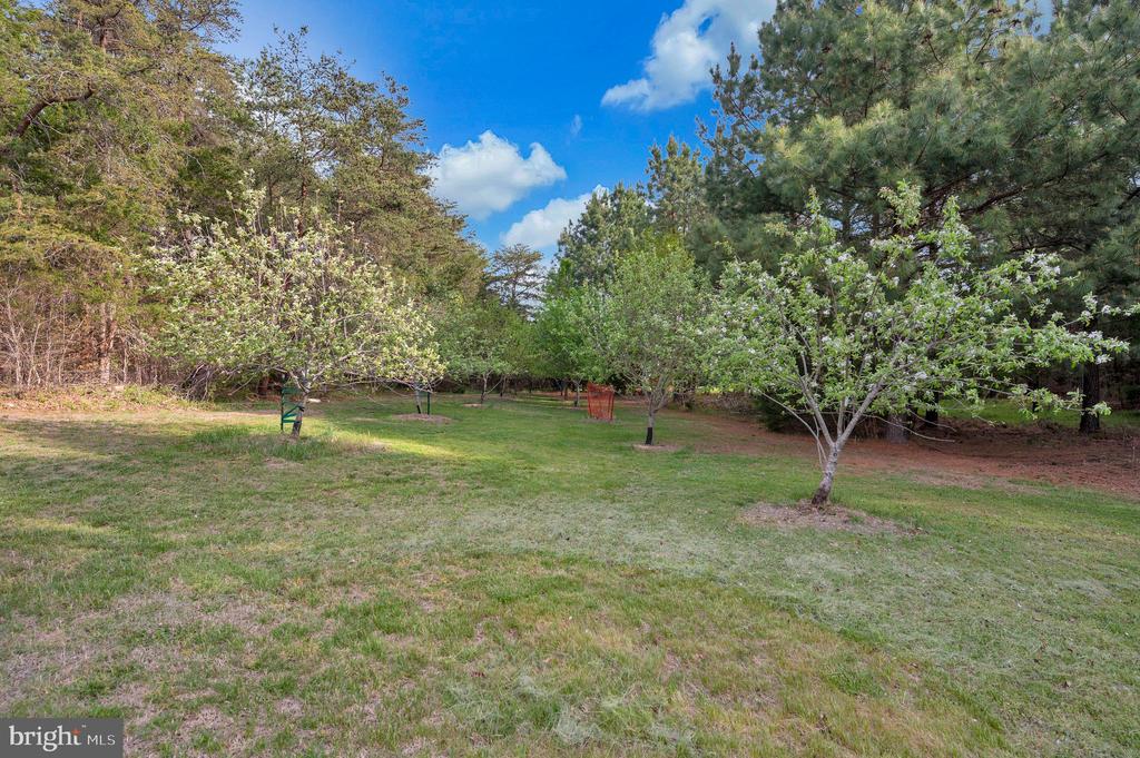 11326 WHEELER RD, SPOTSYLVANIA, Virginia 22551, 3 Bedrooms Bedrooms, ,2 BathroomsBathrooms,Residential,11326 WHEELER RD,VASP2041058 MLS # VASP2041058