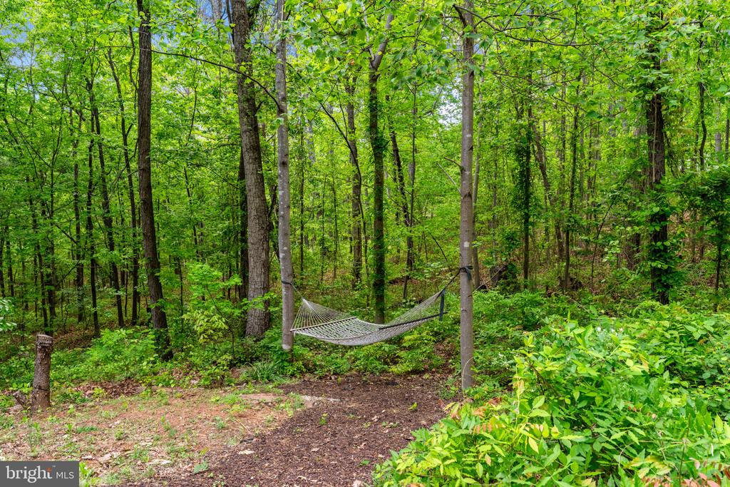 19106 LOGGERS RD, CULPEPER, Virginia 22701, 3 Bedrooms Bedrooms, ,2 BathroomsBathrooms,Residential,19106 LOGGERS RD,VACU2013364 MLS # VACU2013364