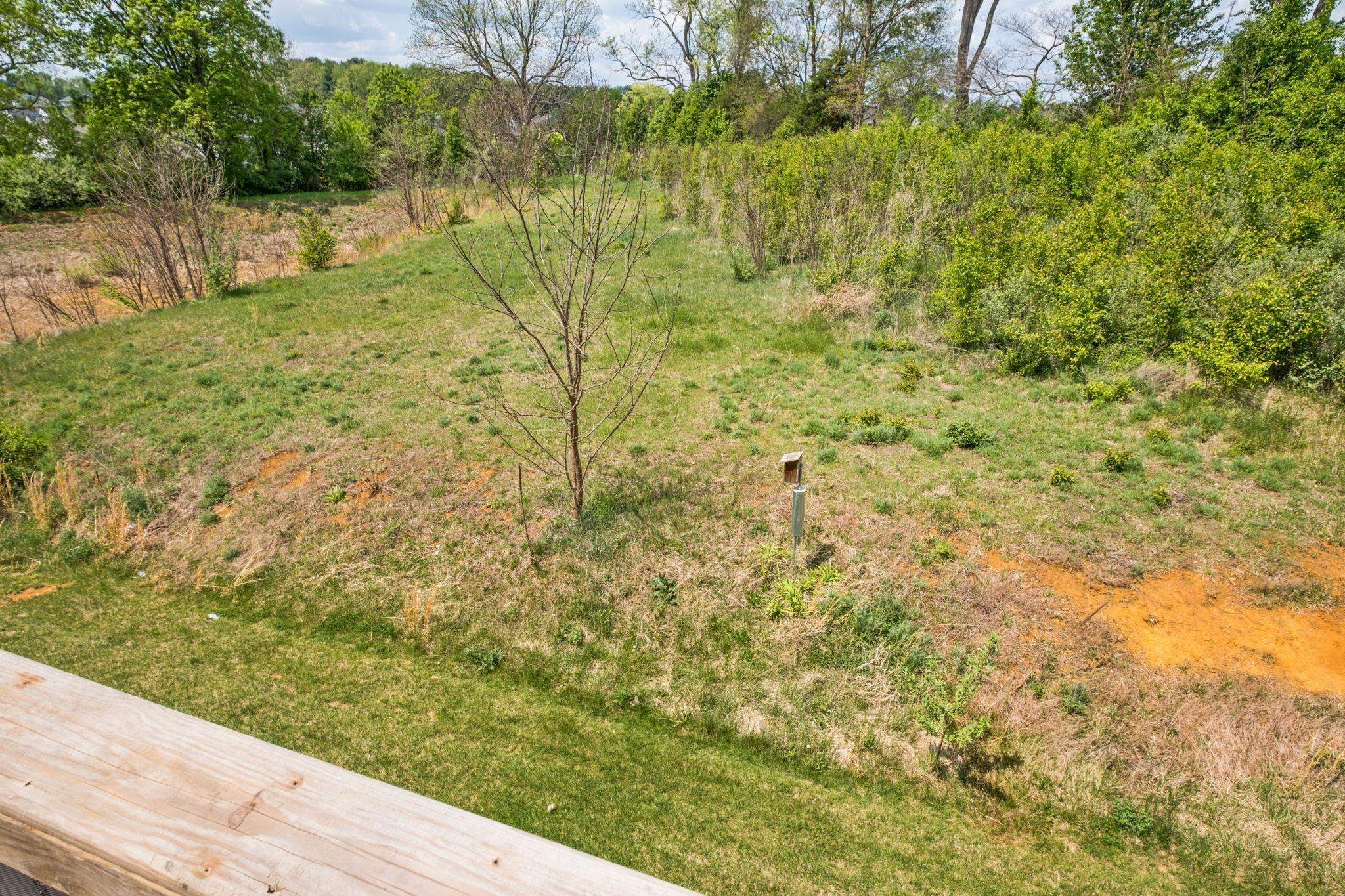 213 WILLOWSHIRE CT, WAYNESBORO, Virginia 22980, 3 Bedrooms Bedrooms, ,2 BathroomsBathrooms,Residential,213 WILLOWSHIRE CT,676339 MLS # 676339