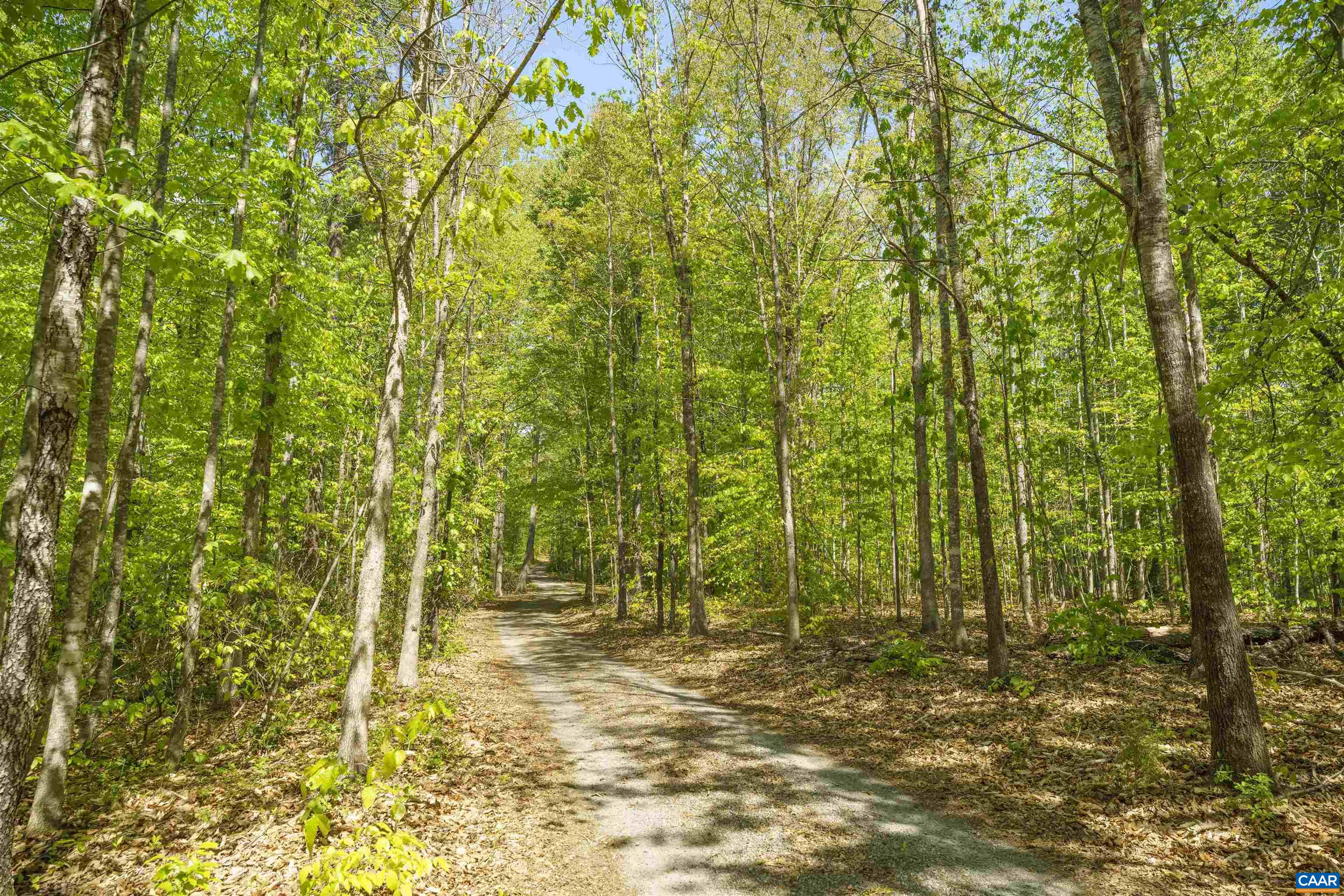 7530 DAMON RD, SCHUYLER, Virginia 22969, 3 Bedrooms Bedrooms, ,3 BathroomsBathrooms,Residential,7530 DAMON RD,676344 MLS # 676344