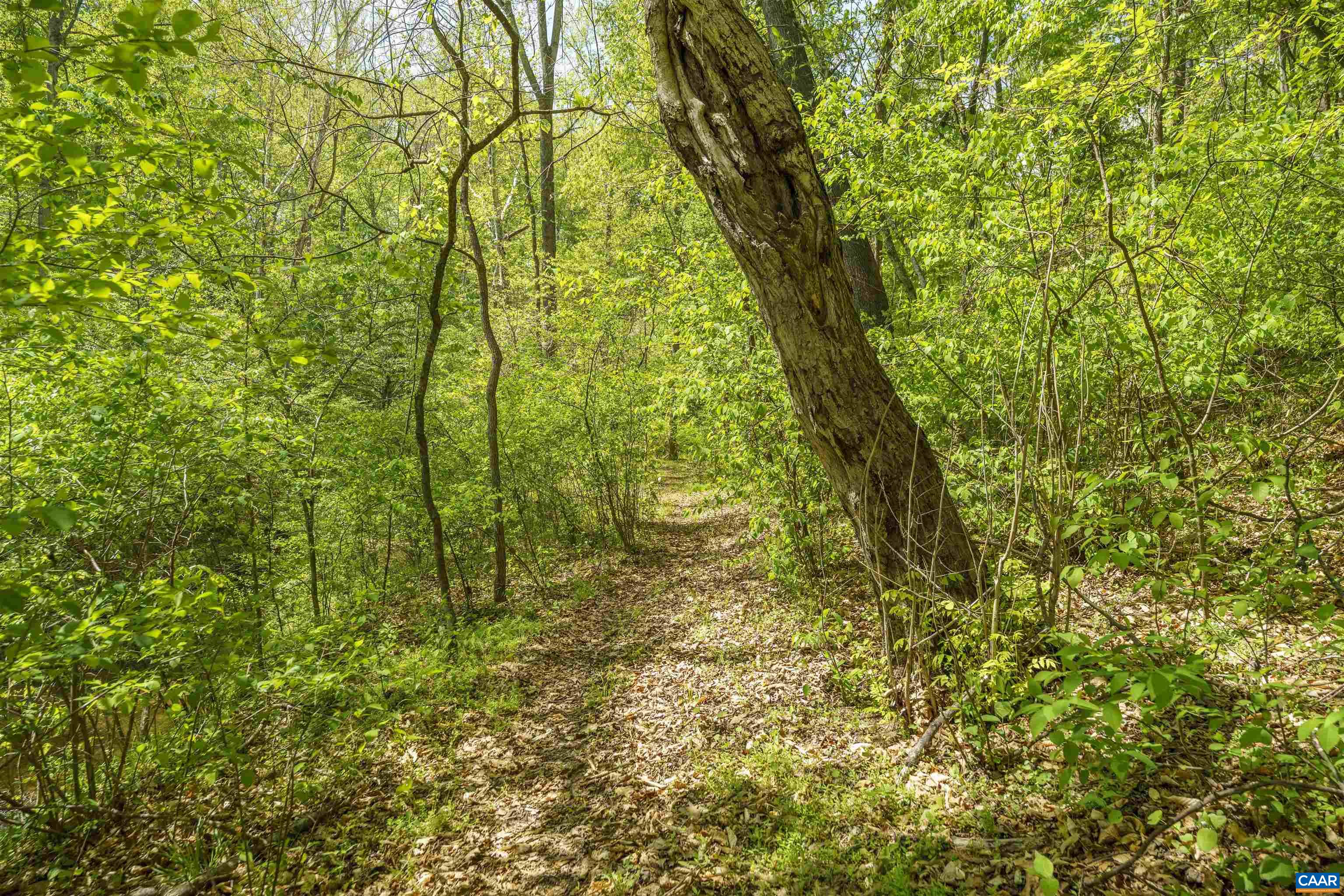 7530 DAMON RD, SCHUYLER, Virginia 22969, 3 Bedrooms Bedrooms, ,3 BathroomsBathrooms,Residential,7530 DAMON RD,676344 MLS # 676344