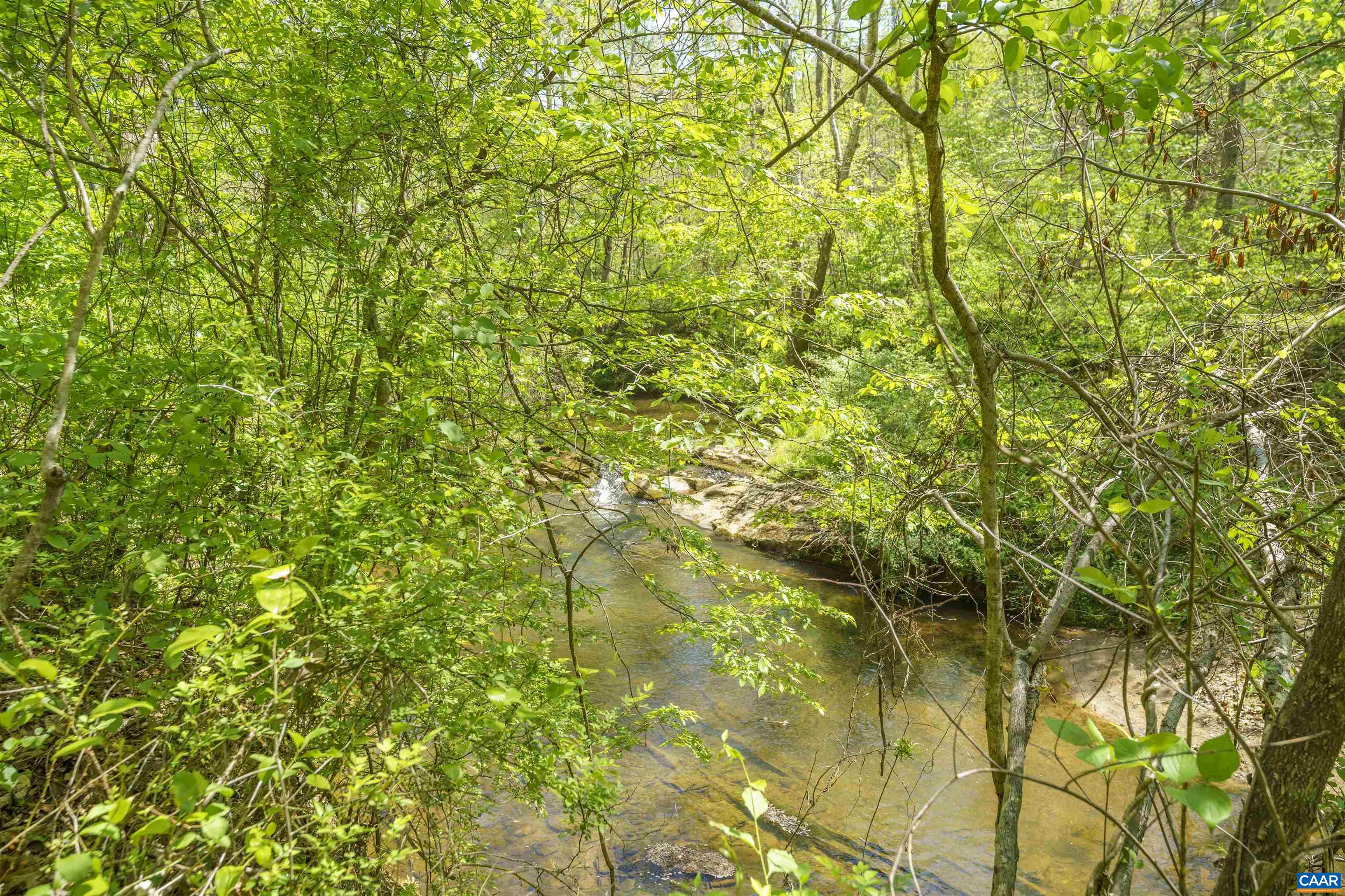 7530 DAMON RD, SCHUYLER, Virginia 22969, 3 Bedrooms Bedrooms, ,3 BathroomsBathrooms,Residential,7530 DAMON RD,676344 MLS # 676344