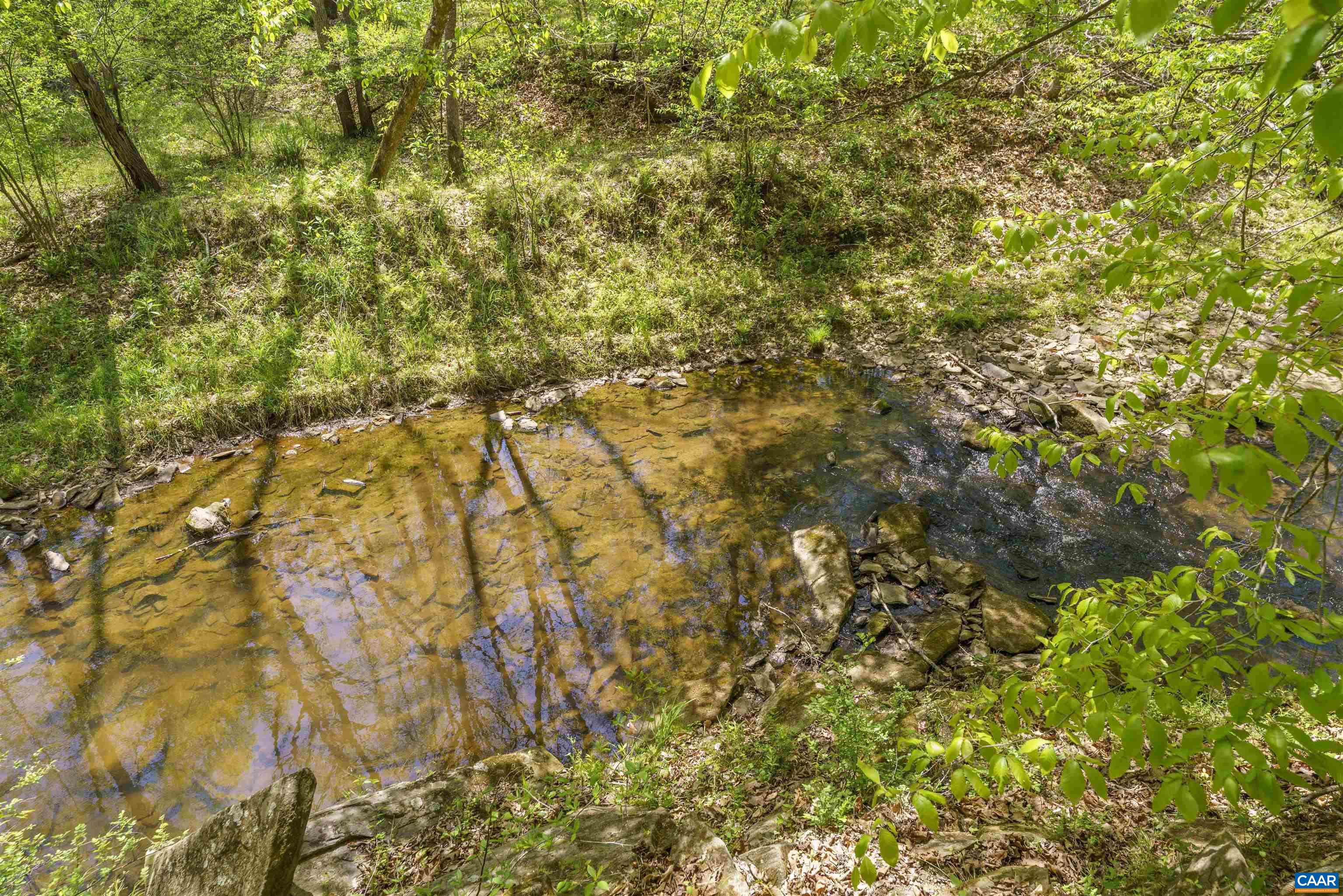 7530 DAMON RD, SCHUYLER, Virginia 22969, 3 Bedrooms Bedrooms, ,3 BathroomsBathrooms,Residential,7530 DAMON RD,676344 MLS # 676344