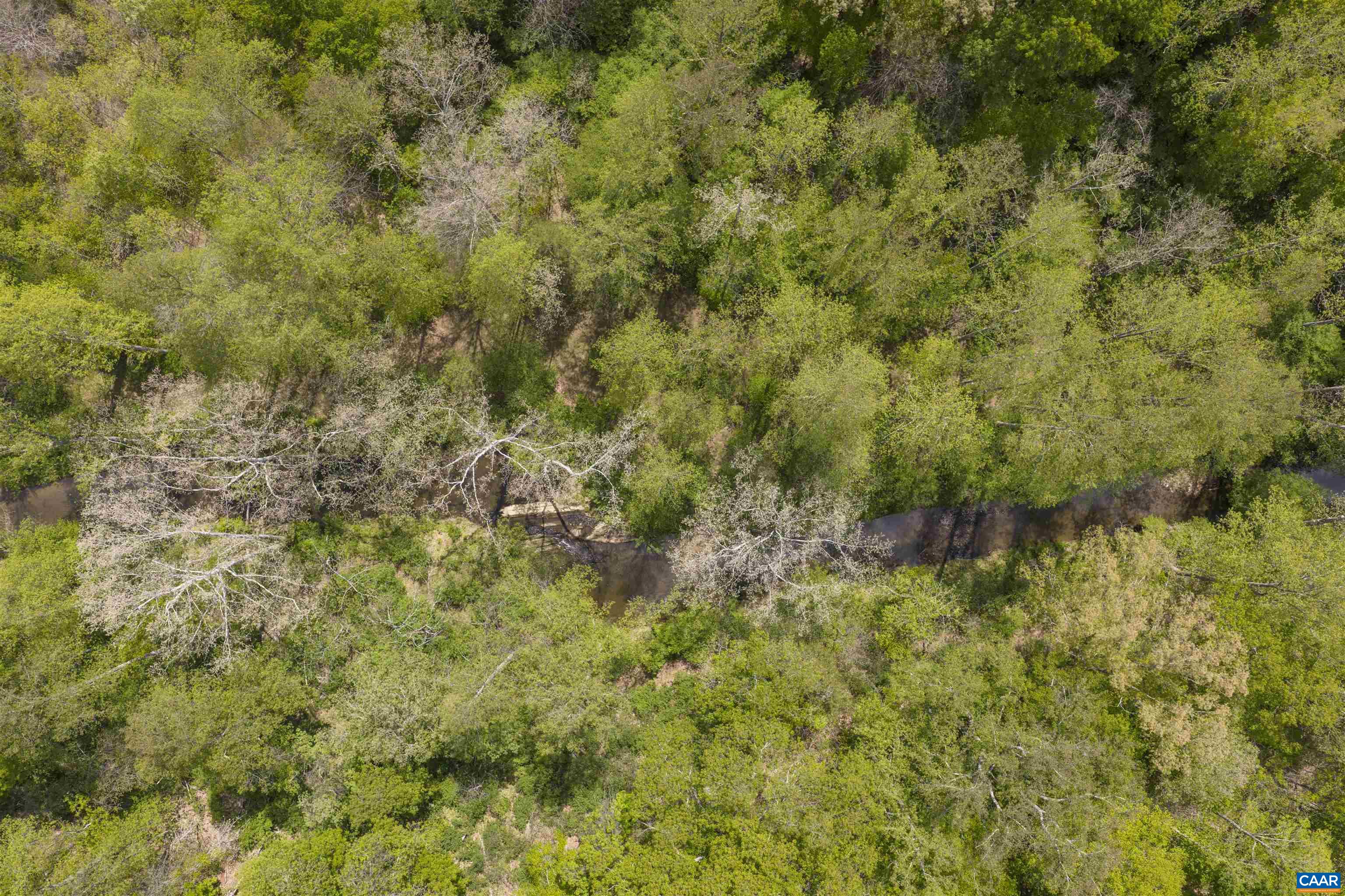 7530 DAMON RD, SCHUYLER, Virginia 22969, 3 Bedrooms Bedrooms, ,3 BathroomsBathrooms,Residential,7530 DAMON RD,676344 MLS # 676344