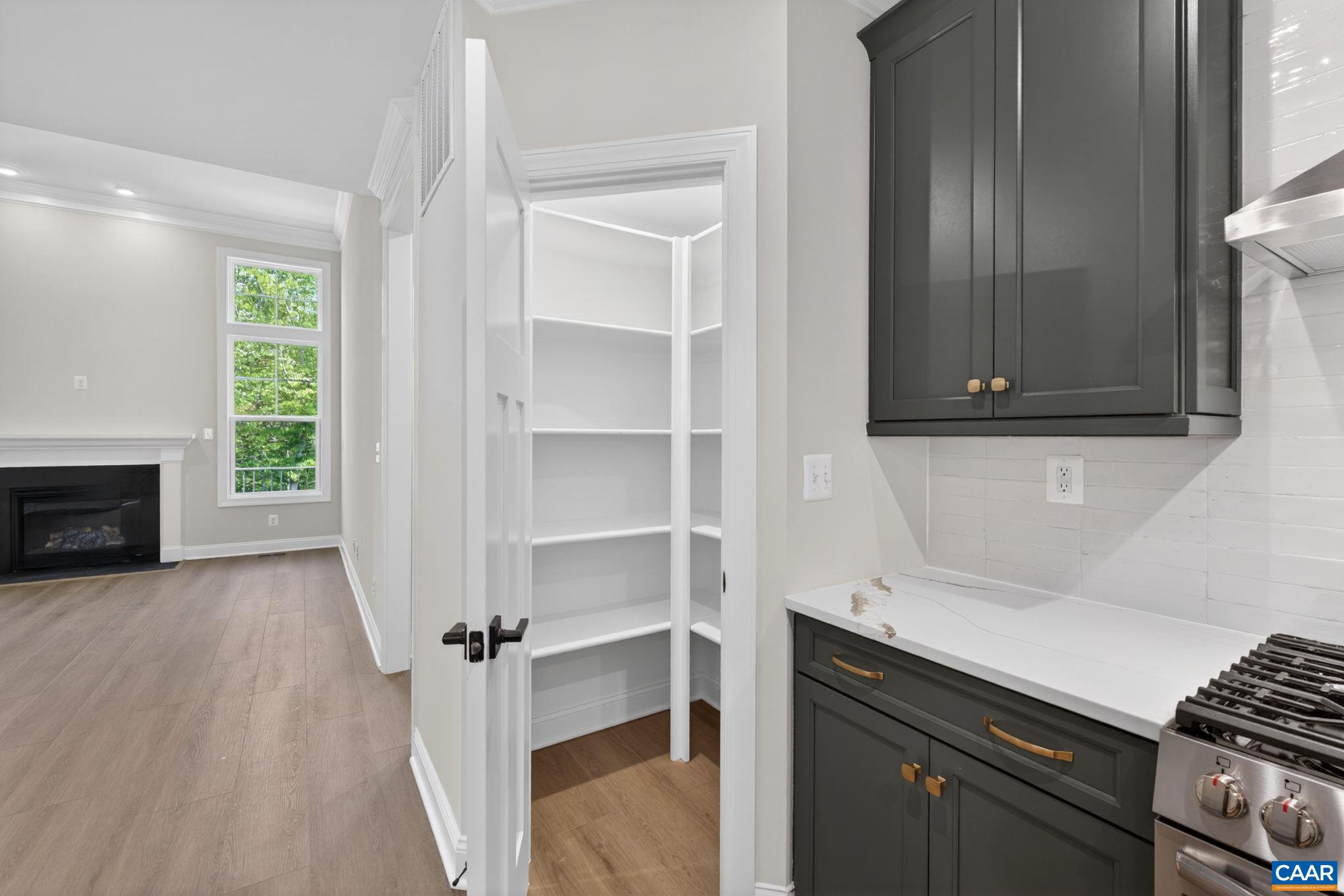 1390 MARCELLA ST, CHARLOTTESVILLE, Virginia 22911, 4 Bedrooms Bedrooms, ,3 BathroomsBathrooms,Residential,The Bayberry, Elevation A - Finished Walkout Basem,1390 MARCELLA ST,676348 MLS # 676348