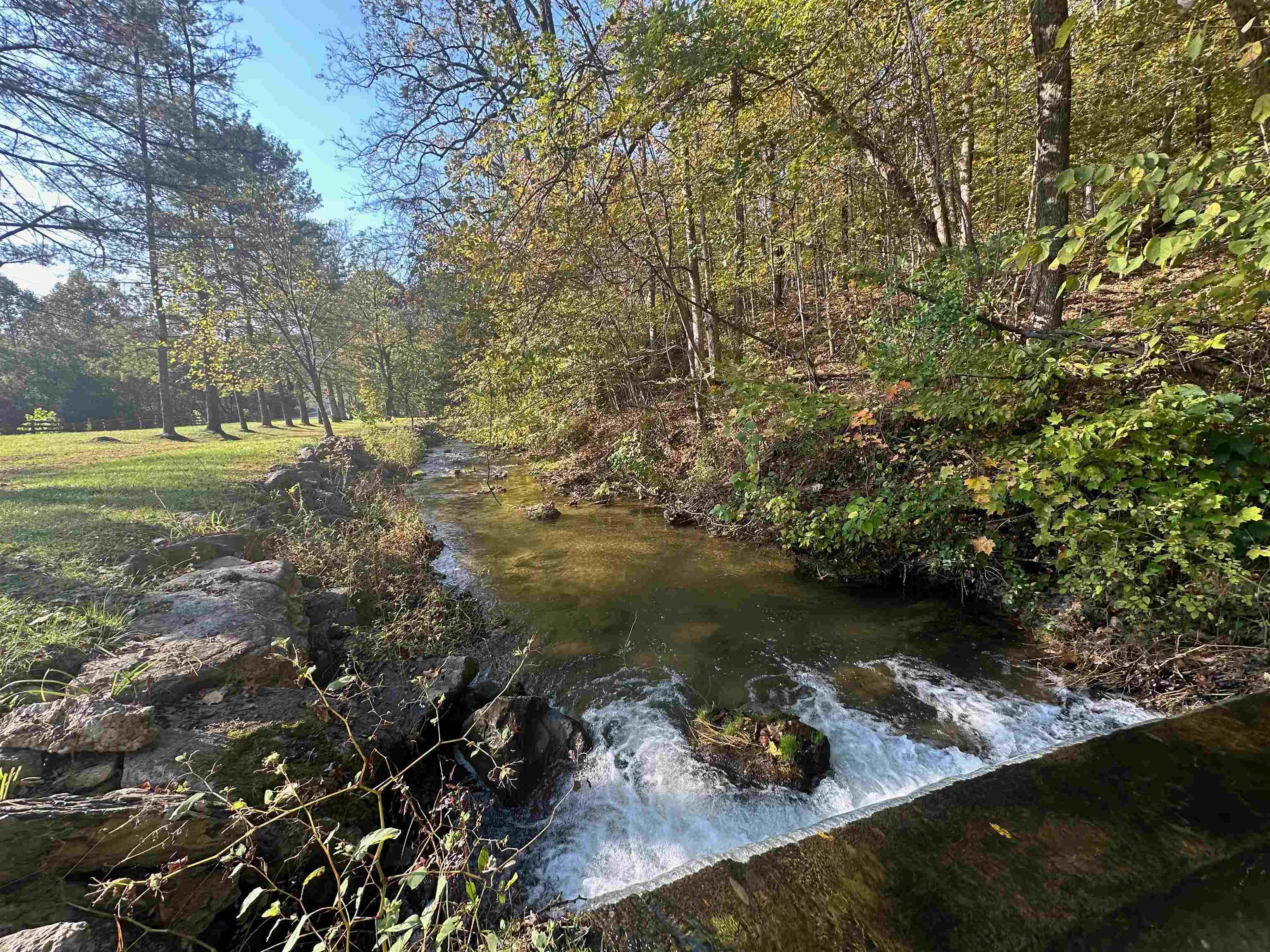 352 TYE RIVER TPKE, VESUVIUS, Virginia 24483, 7 Bedrooms Bedrooms, ,7 BathroomsBathrooms,Residential,352 TYE RIVER TPKE,676349 MLS # 676349