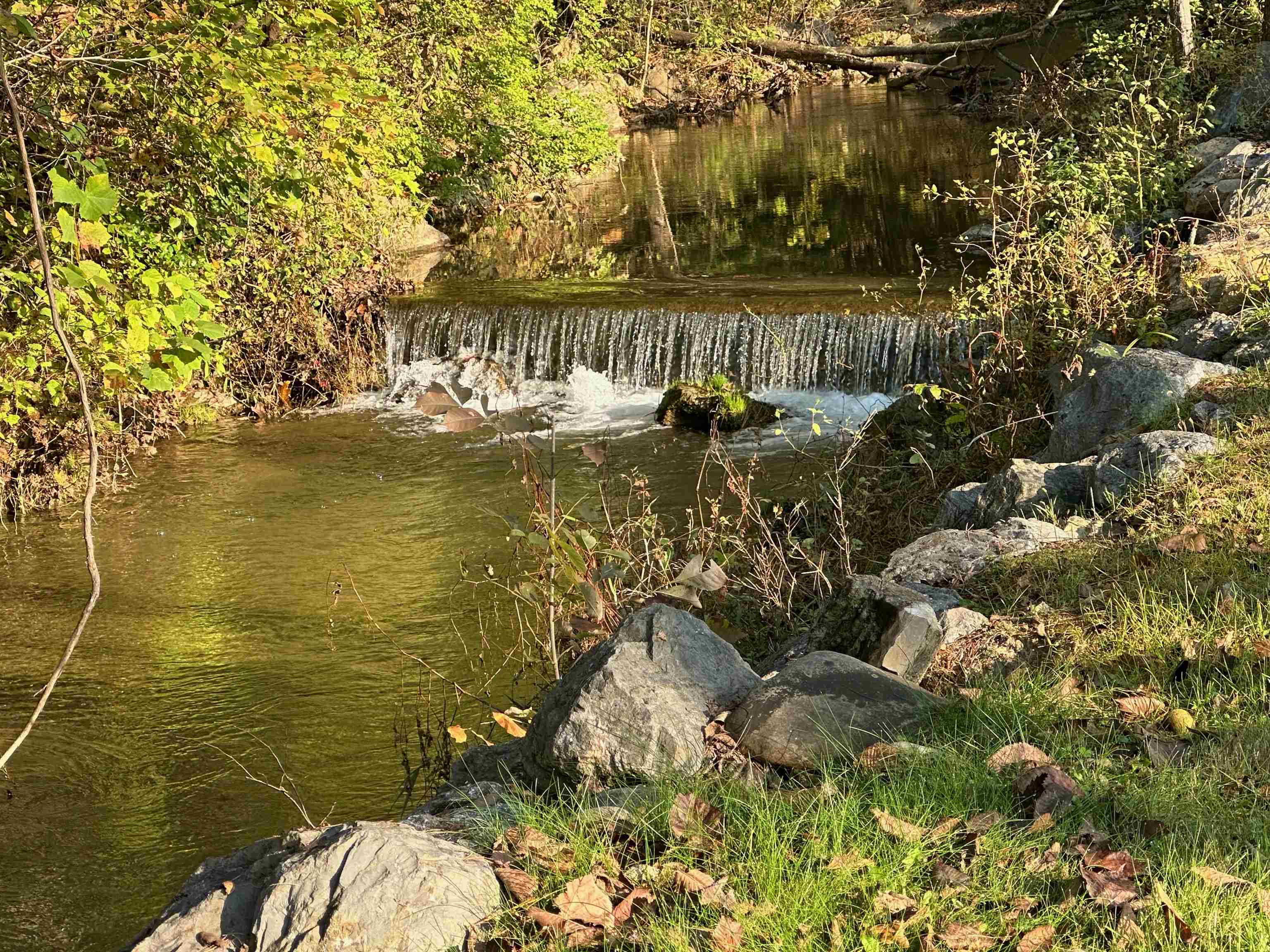 352 TYE RIVER TPKE, VESUVIUS, Virginia 24483, 7 Bedrooms Bedrooms, ,7 BathroomsBathrooms,Residential,352 TYE RIVER TPKE,676349 MLS # 676349