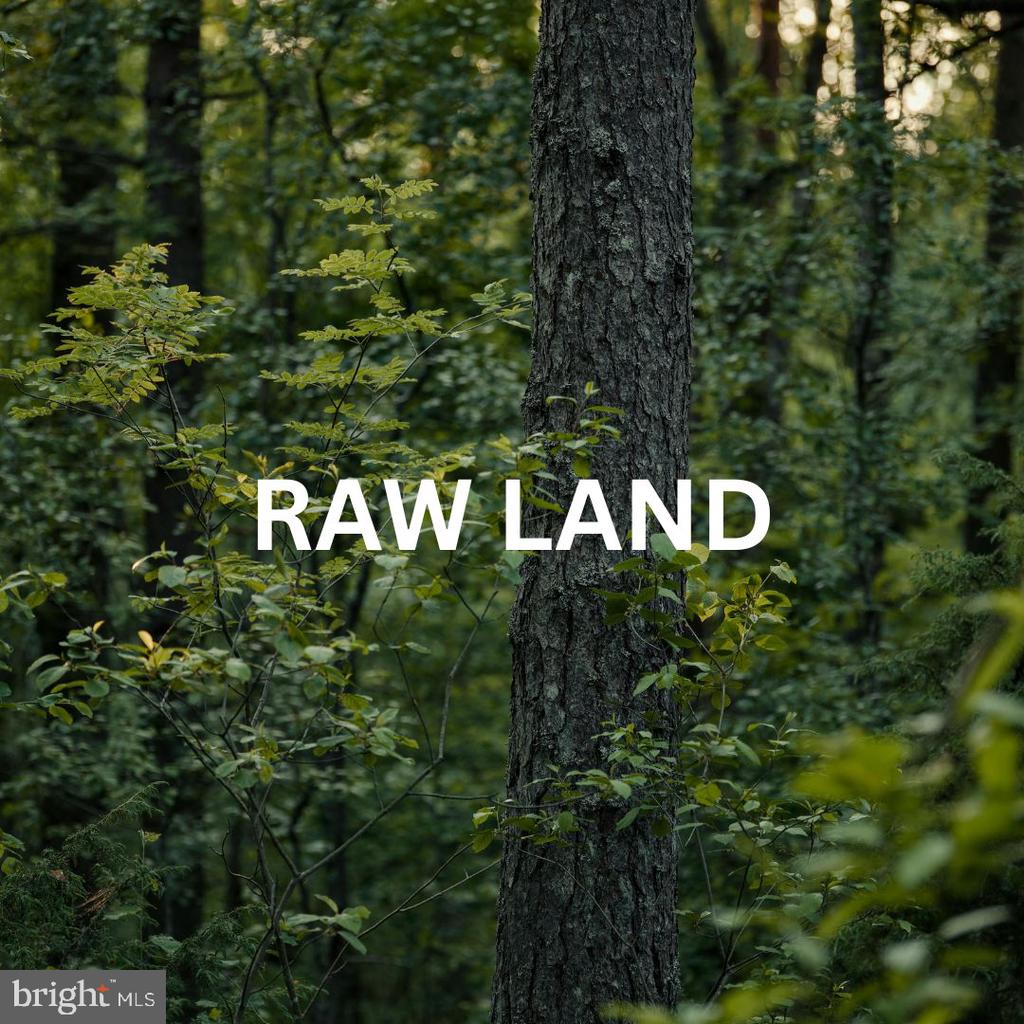 6200 BILLS RD, MINERAL, Virginia 23117, ,Land,6200 BILLS RD,VASP2041298 MLS # VASP2041298