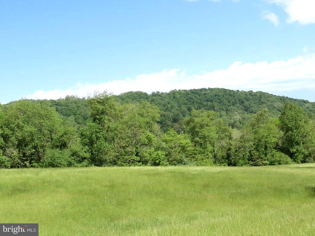 BEN VENUE RD, FLINT HILL, Virginia 22627, ,Land,BEN VENUE RD,VARP2002614 MLS # VARP2002614