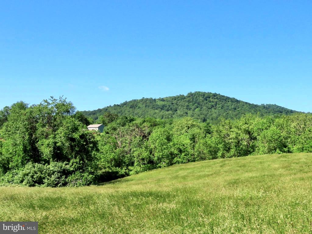 BEN VENUE RD, FLINT HILL, Virginia 22627, ,Land,BEN VENUE RD,VARP2002614 MLS # VARP2002614