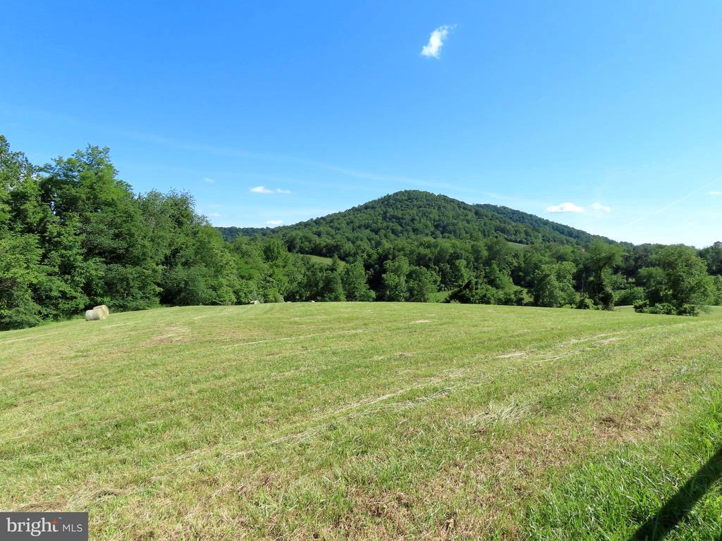 BEN VENUE RD, FLINT HILL, Virginia 22627, ,Land,BEN VENUE RD,VARP2002614 MLS # VARP2002614