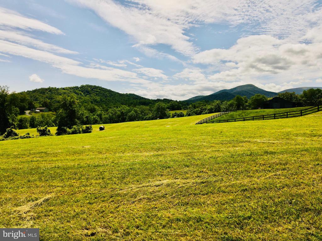 BEN VENUE RD, FLINT HILL, Virginia 22627, ,Land,BEN VENUE RD,VARP2002614 MLS # VARP2002614