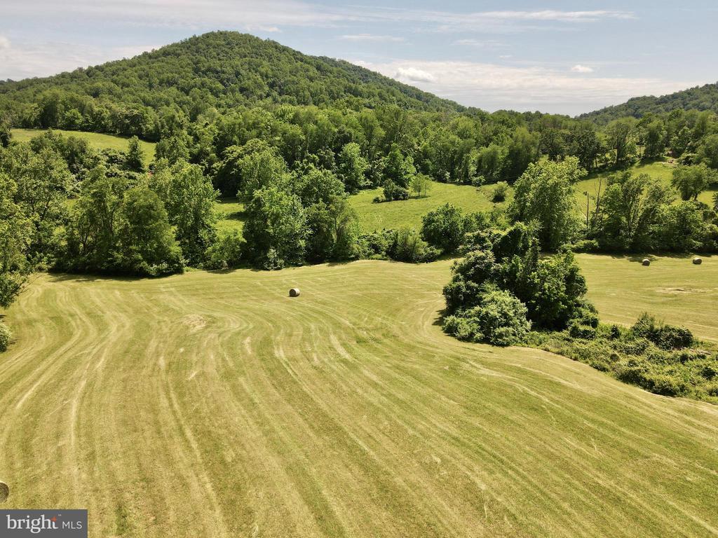 BEN VENUE RD, FLINT HILL, Virginia 22627, ,Land,BEN VENUE RD,VARP2002614 MLS # VARP2002614