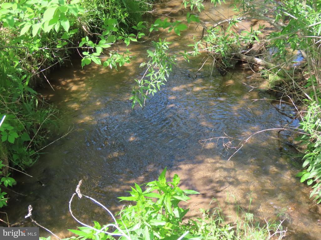 BEN VENUE RD, FLINT HILL, Virginia 22627, ,Land,BEN VENUE RD,VARP2002614 MLS # VARP2002614