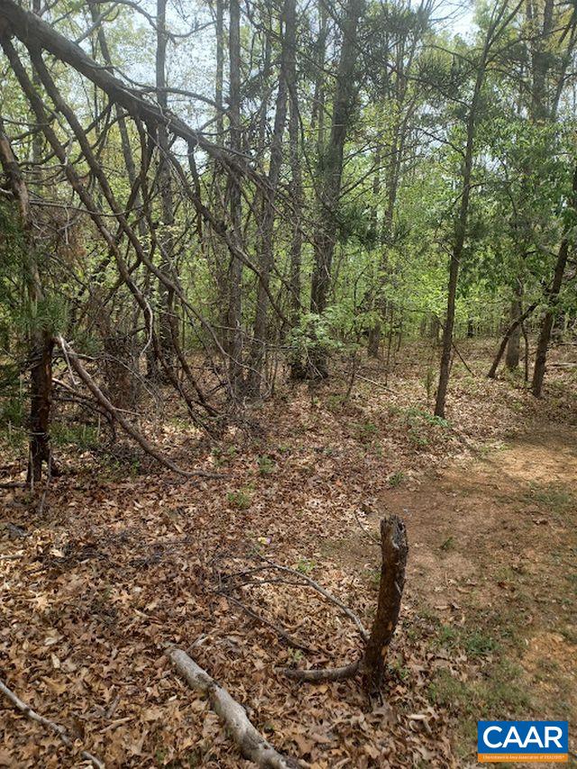 100 NE OAKMONT DR, GORDONSVILLE, Virginia 22942, ,Land,Shenandoah Crossings,100 NE OAKMONT DR,676364 MLS # 676364