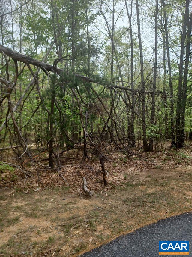 100 NE OAKMONT DR, GORDONSVILLE, Virginia 22942, ,Land,Shenandoah Crossings,100 NE OAKMONT DR,676364 MLS # 676364