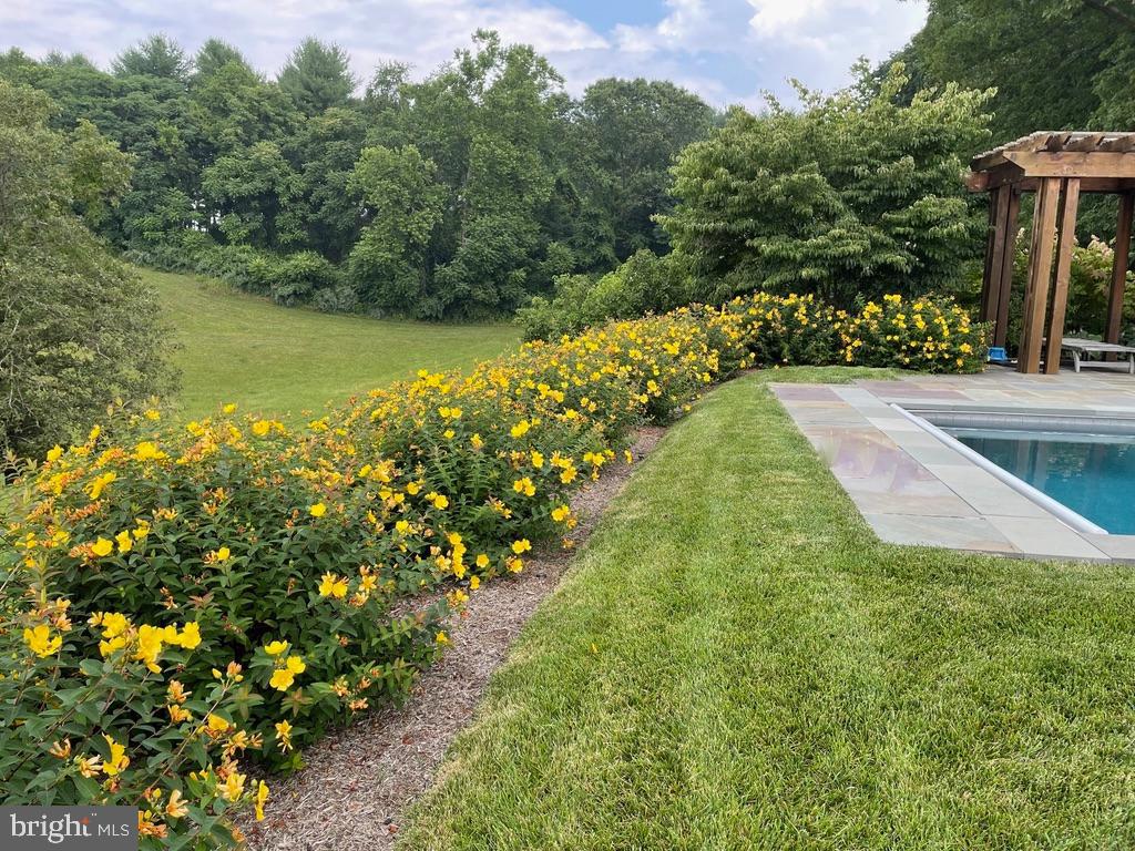 643 RICHMOND RD, AMISSVILLE, Virginia 20106, 3 Bedrooms Bedrooms, ,2 BathroomsBathrooms,Residential,643 RICHMOND RD,VARP2002496 MLS # VARP2002496