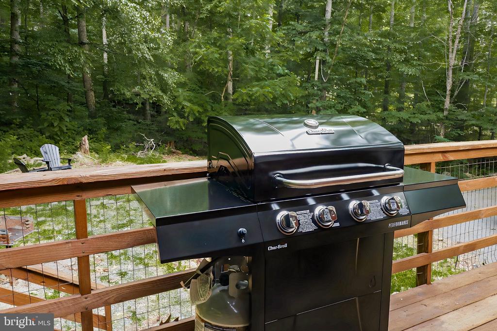 1434 BULL YEARLING RD, STANARDSVILLE, Virginia 22973, 1 Bedroom Bedrooms, ,1 BathroomBathrooms,Residential,1434 BULL YEARLING RD,VAGR2000854 MLS # VAGR2000854