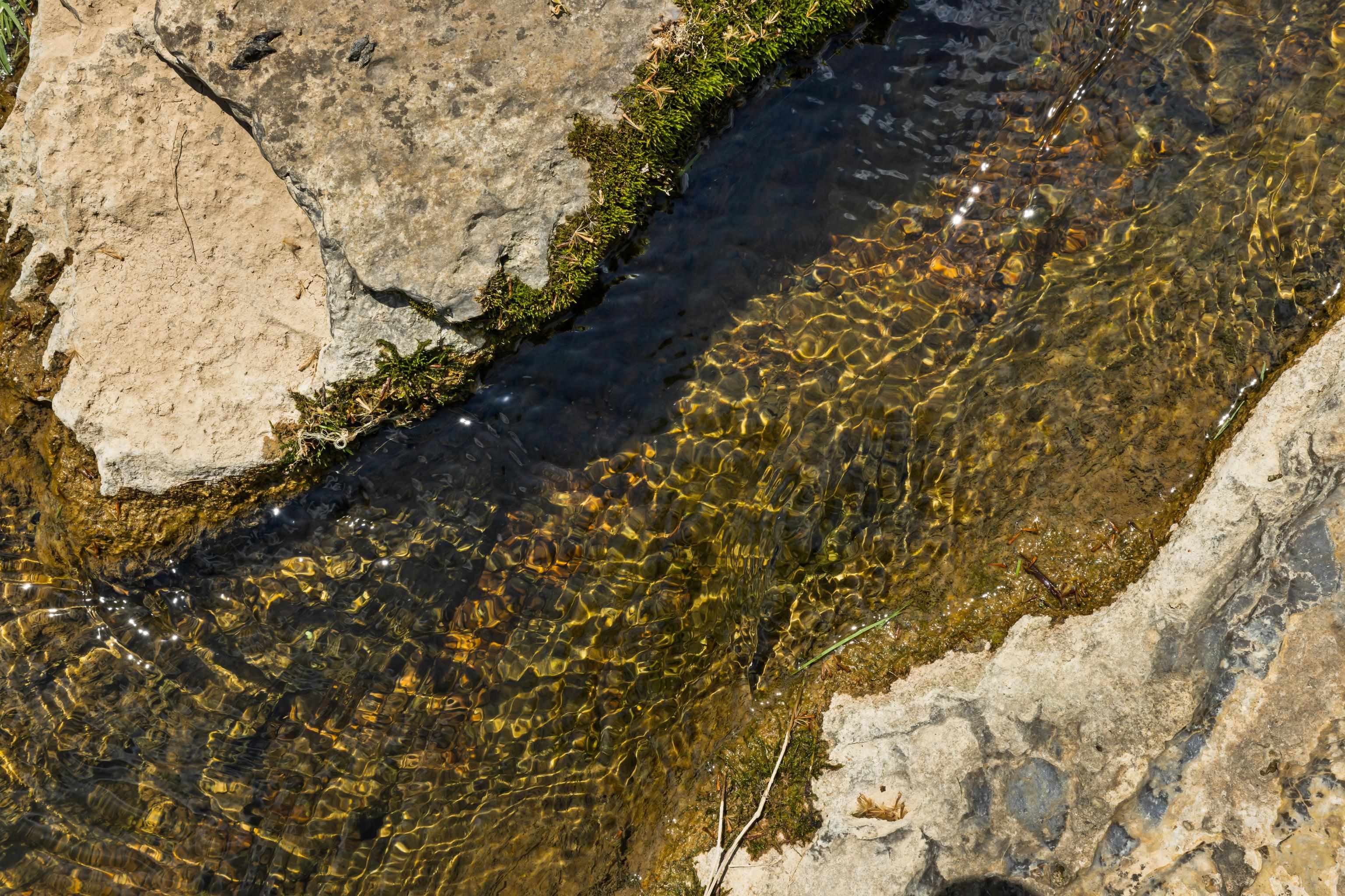 396 BELLEVUE LN, ROCKBRIDGE BATHS, Virginia 24473, 2 Bedrooms Bedrooms, ,2 BathroomsBathrooms,Residential,396 BELLEVUE LN,676374 MLS # 676374