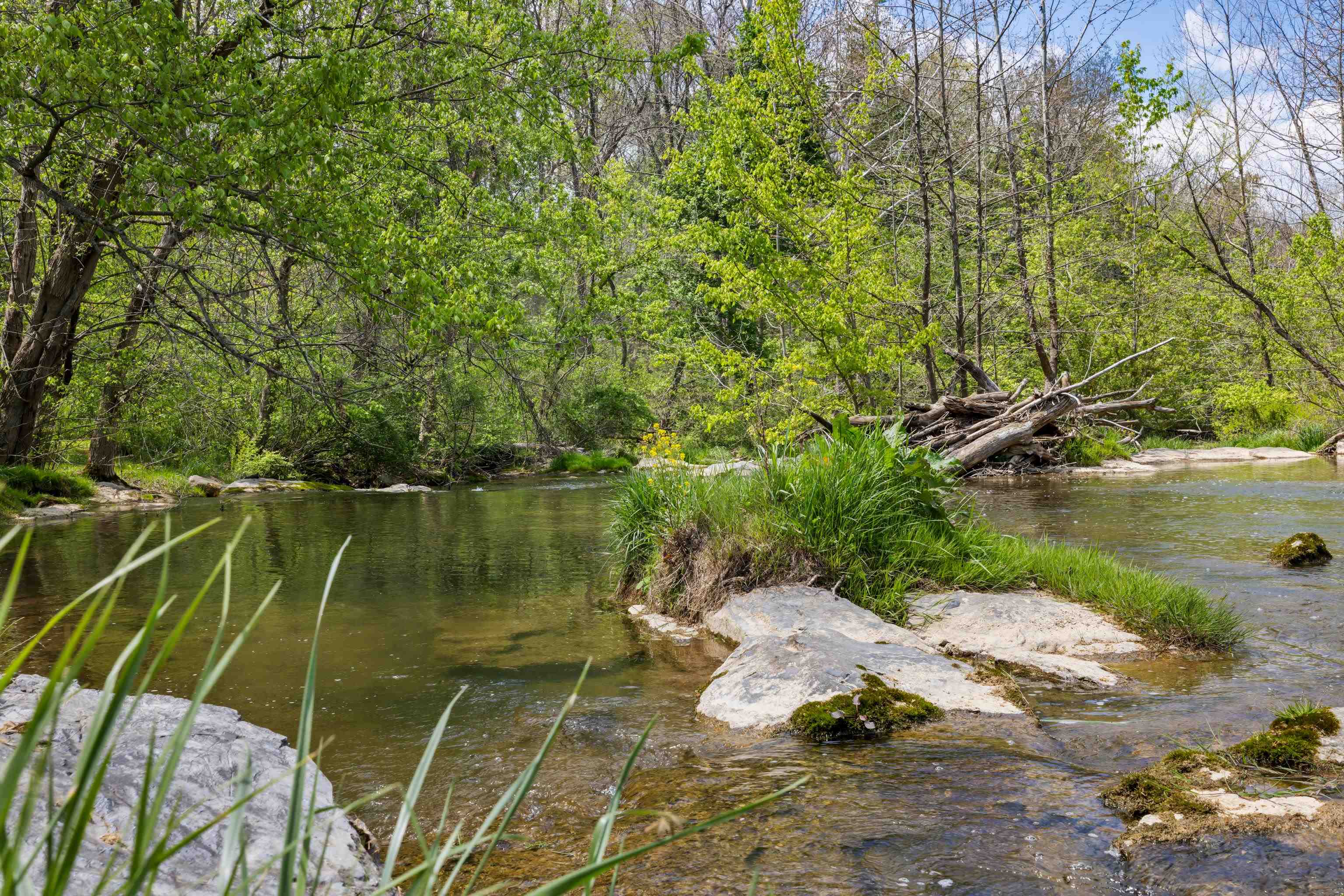 396 BELLEVUE LN, ROCKBRIDGE BATHS, Virginia 24473, 2 Bedrooms Bedrooms, ,2 BathroomsBathrooms,Residential,396 BELLEVUE LN,676374 MLS # 676374