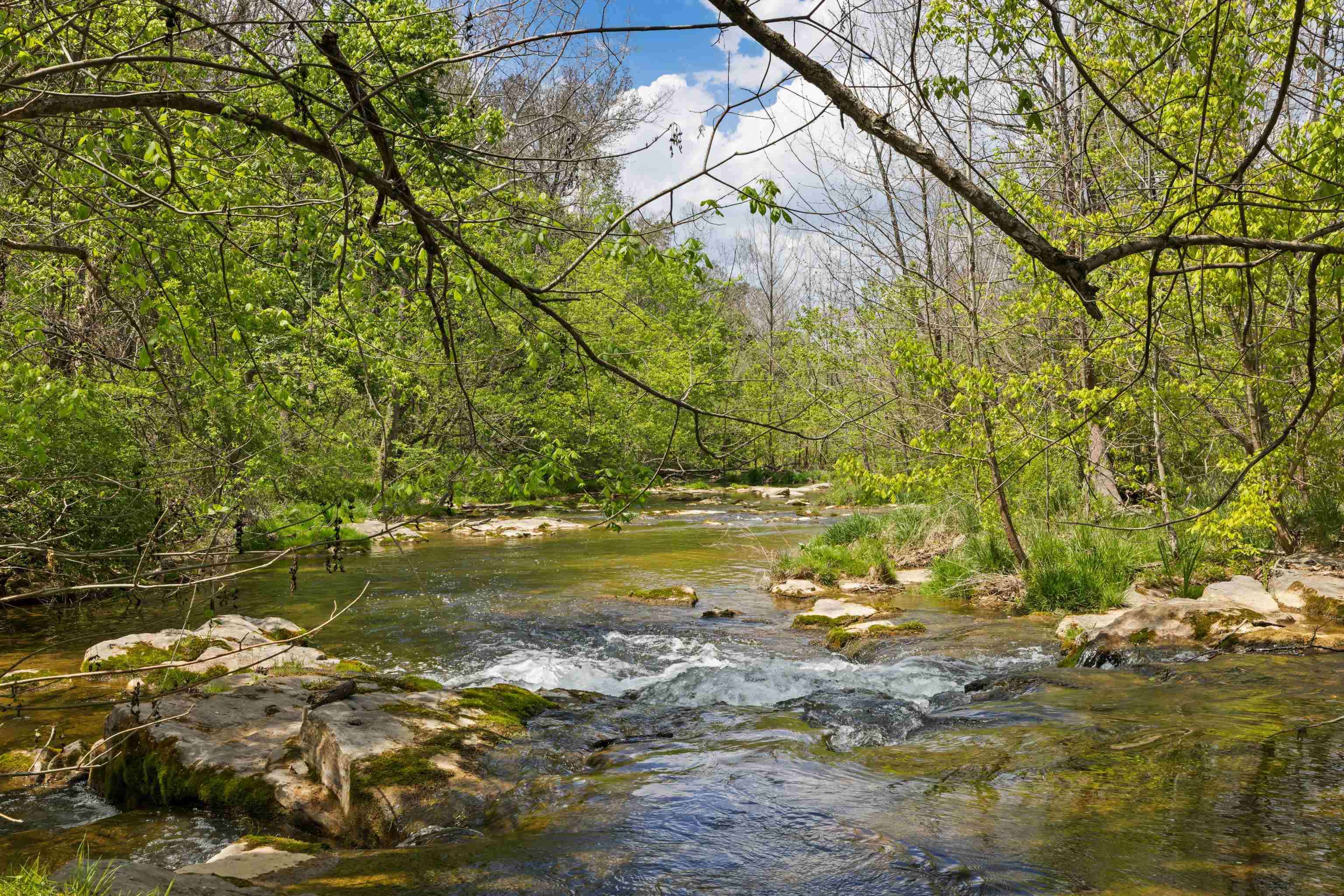 396 BELLEVUE LN, ROCKBRIDGE BATHS, Virginia 24473, 2 Bedrooms Bedrooms, ,2 BathroomsBathrooms,Residential,396 BELLEVUE LN,676374 MLS # 676374