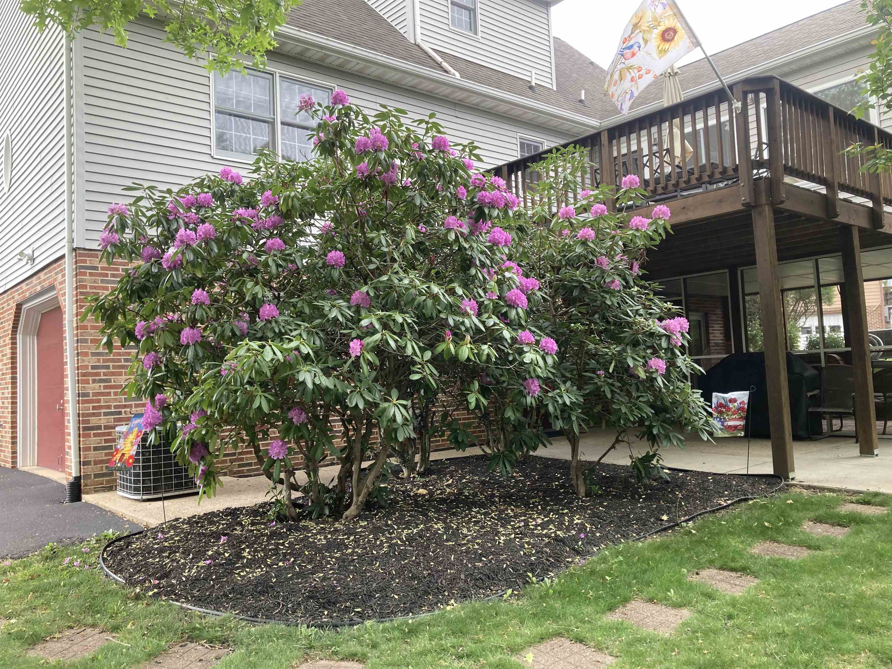 36 SPRING CT, WAYNESBORO, Virginia 22980, 3 Bedrooms Bedrooms, ,3 BathroomsBathrooms,Residential,36 SPRING CT,676383 MLS # 676383