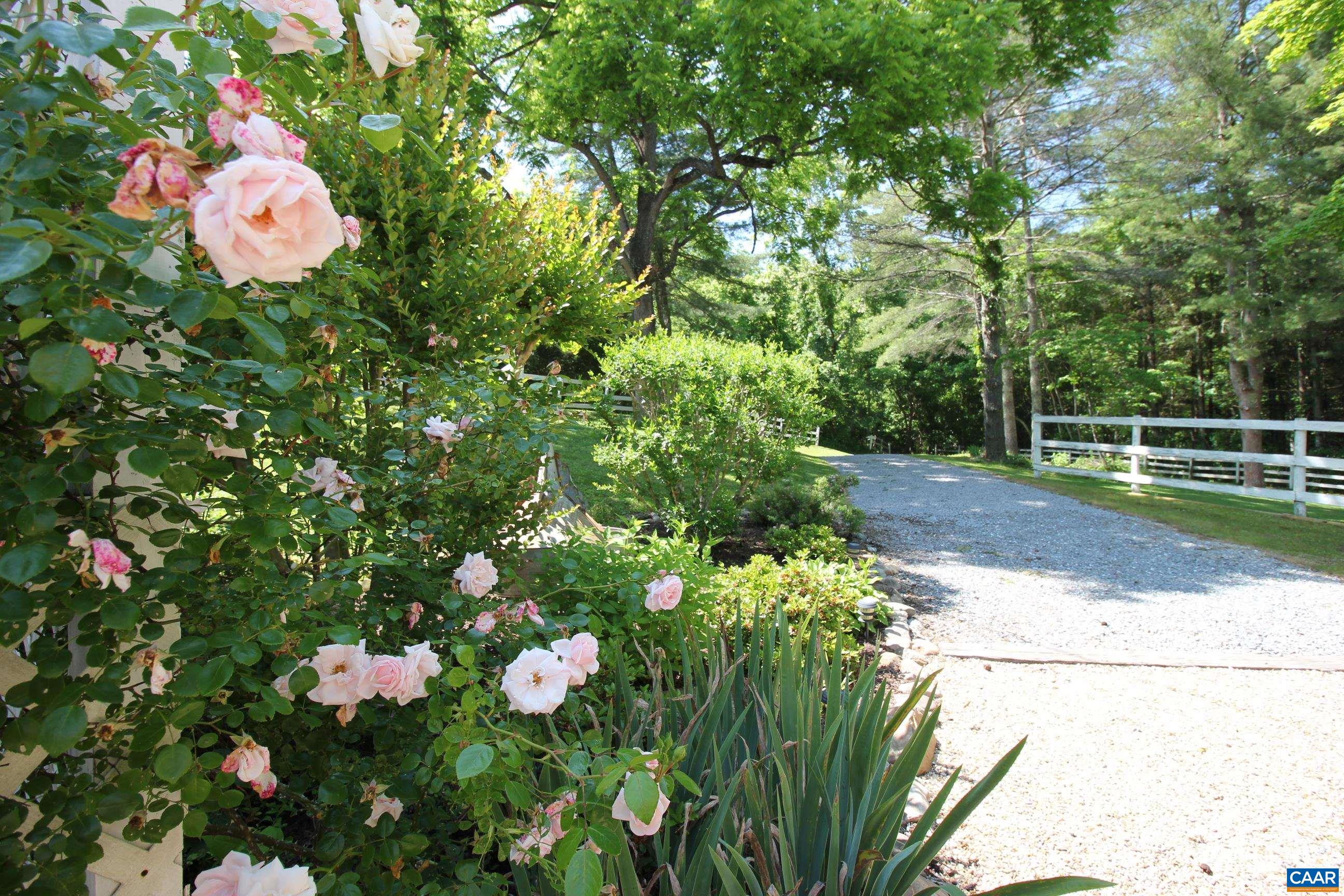 325 UNION RUN, LEXINGTON, Virginia 24450, 9 Bedrooms Bedrooms, ,9 BathroomsBathrooms,Residential,Shenandoah Manor - Bed & Breakfast and Art Ret,325 UNION RUN,676385 MLS # 676385