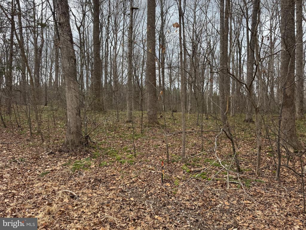 HARNESS LN, LOUISA, Virginia 23093, ,Land,HARNESS LN,VALA2009768 MLS # VALA2009768