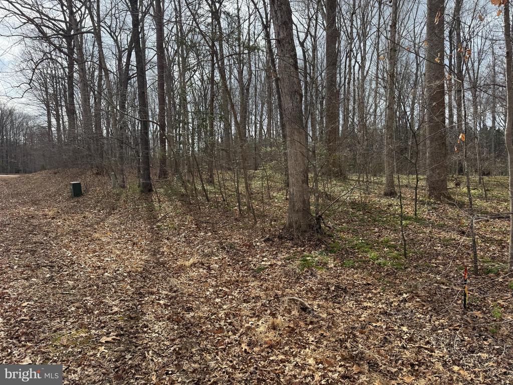 HARNESS LN, LOUISA, Virginia 23093, ,Land,HARNESS LN,VALA2009768 MLS # VALA2009768