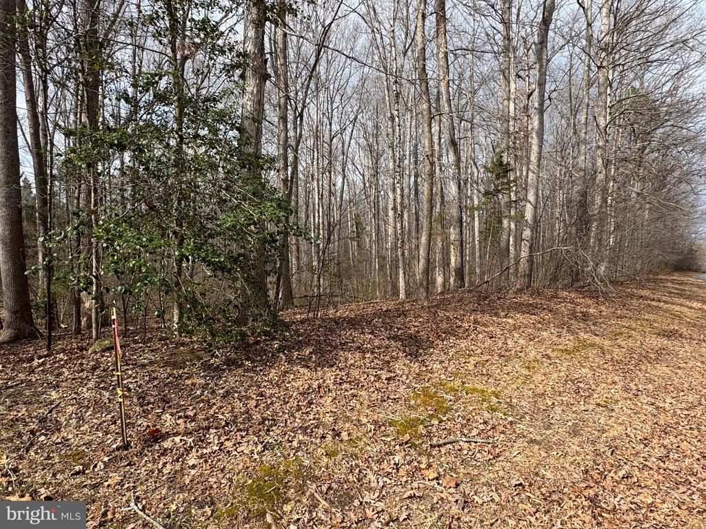 HARNESS LN, LOUISA, Virginia 23093, ,Land,HARNESS LN,VALA2009768 MLS # VALA2009768