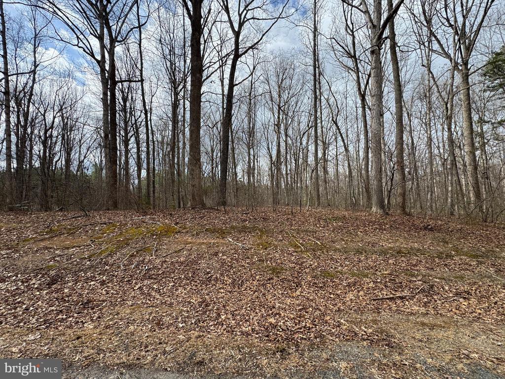HARNESS LN, LOUISA, Virginia 23093, ,Land,HARNESS LN,VALA2009768 MLS # VALA2009768